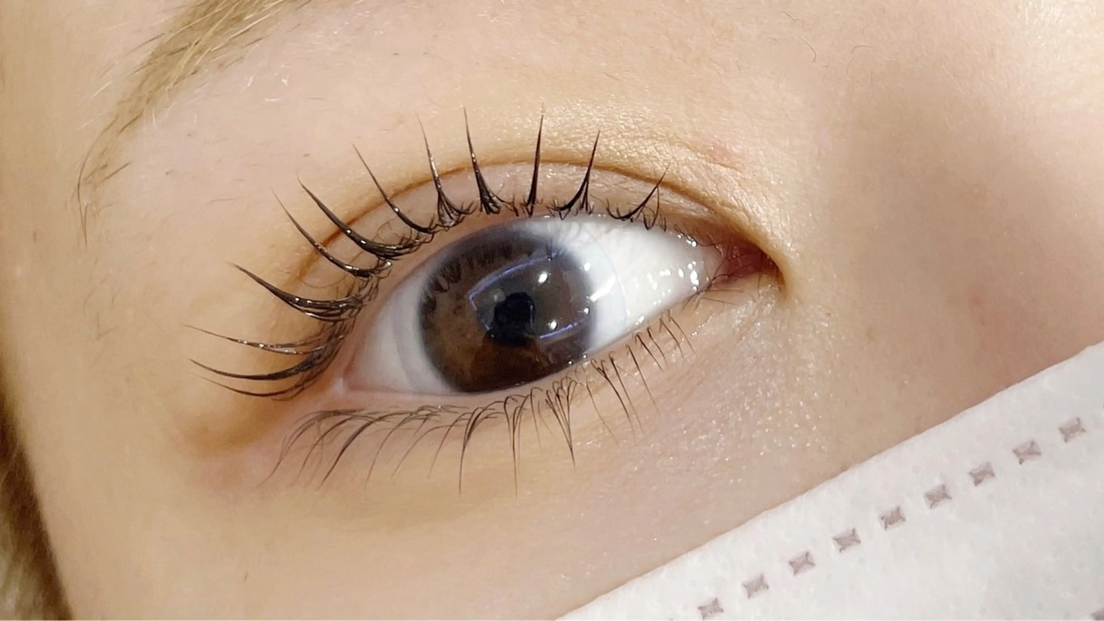 マツエク・マツパ マツパ Aranasalon 池袋店のマツエク・マツパデザイン