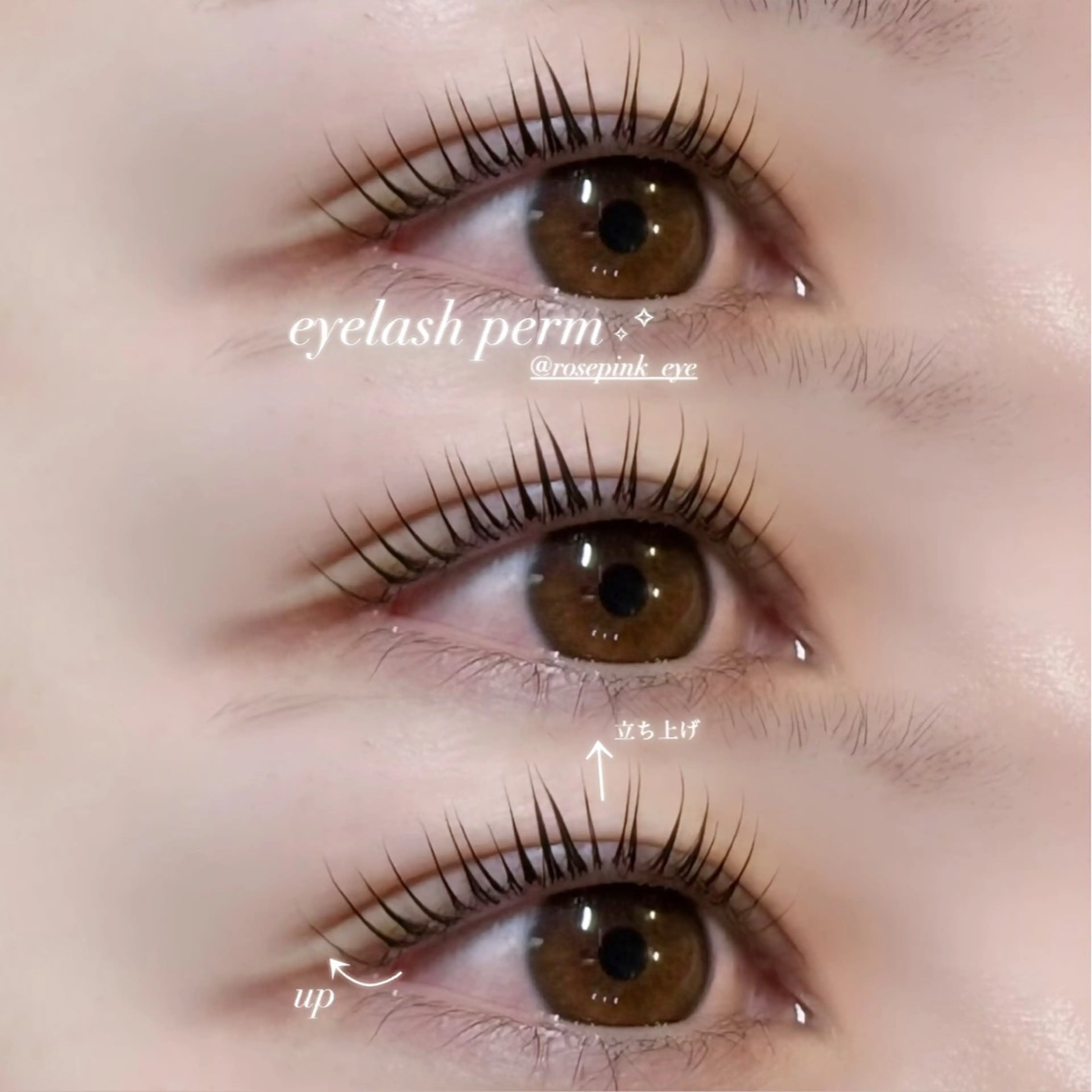 マツエク・マツパ rose pink MIYUのマツエク・マツパデザイン