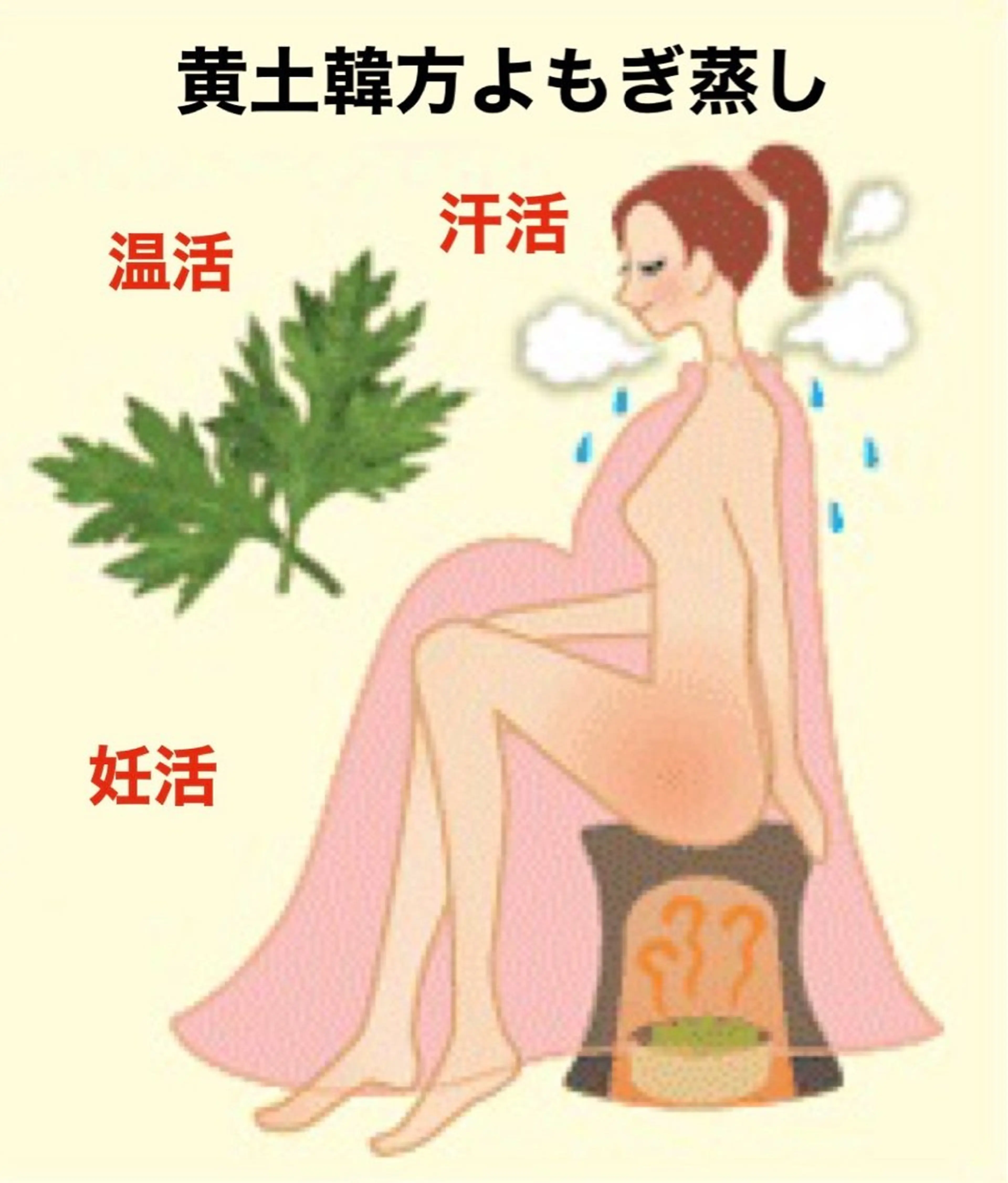 韓方黄土よもぎ蒸しの写真