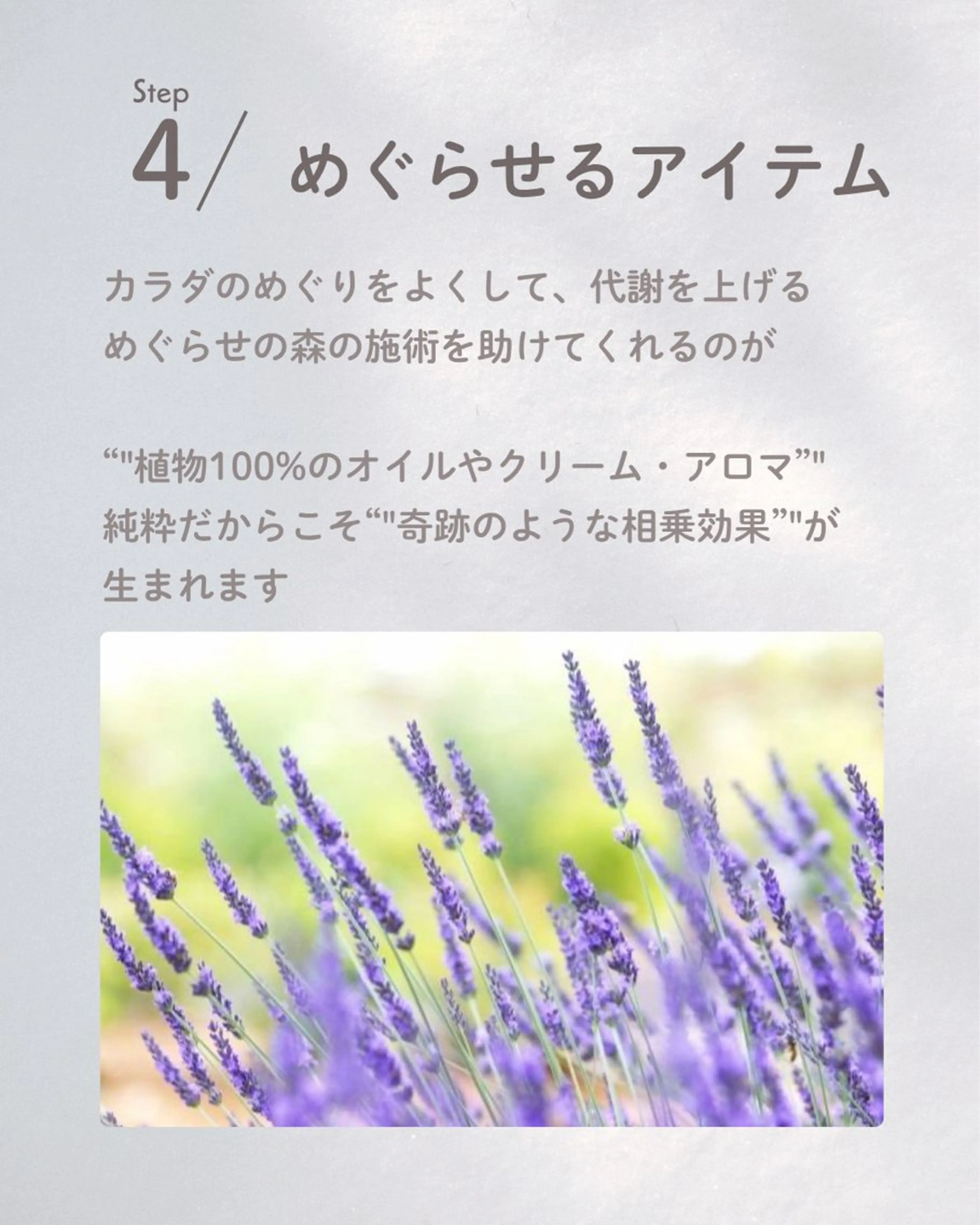 めぐらせの 森のその他イメージ