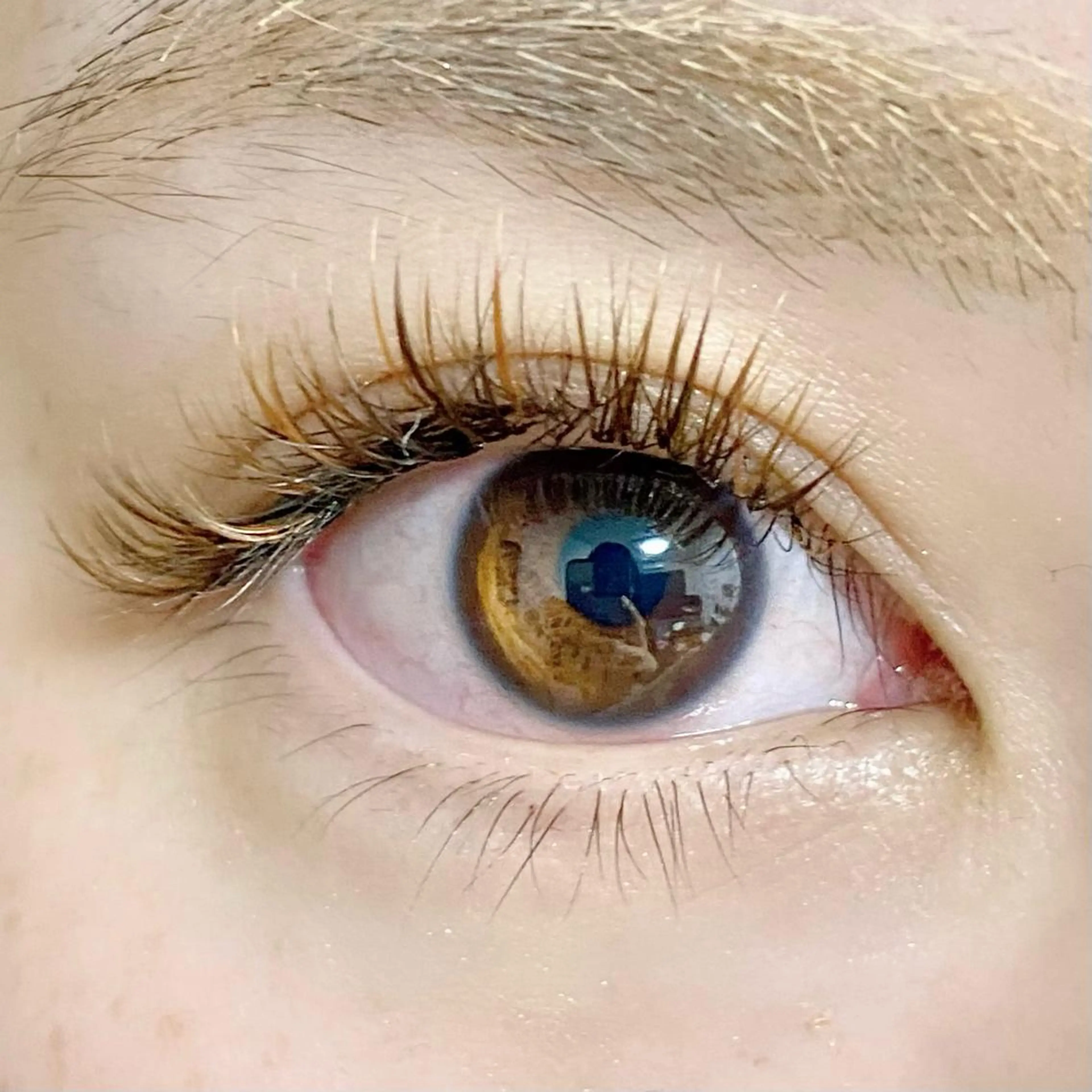 マツエク・マツパ Cカール カラーマツエク キュート ボリュームラッシュ まつげ屋さんLAPU AYAKAのマツエク・マツパデザイン