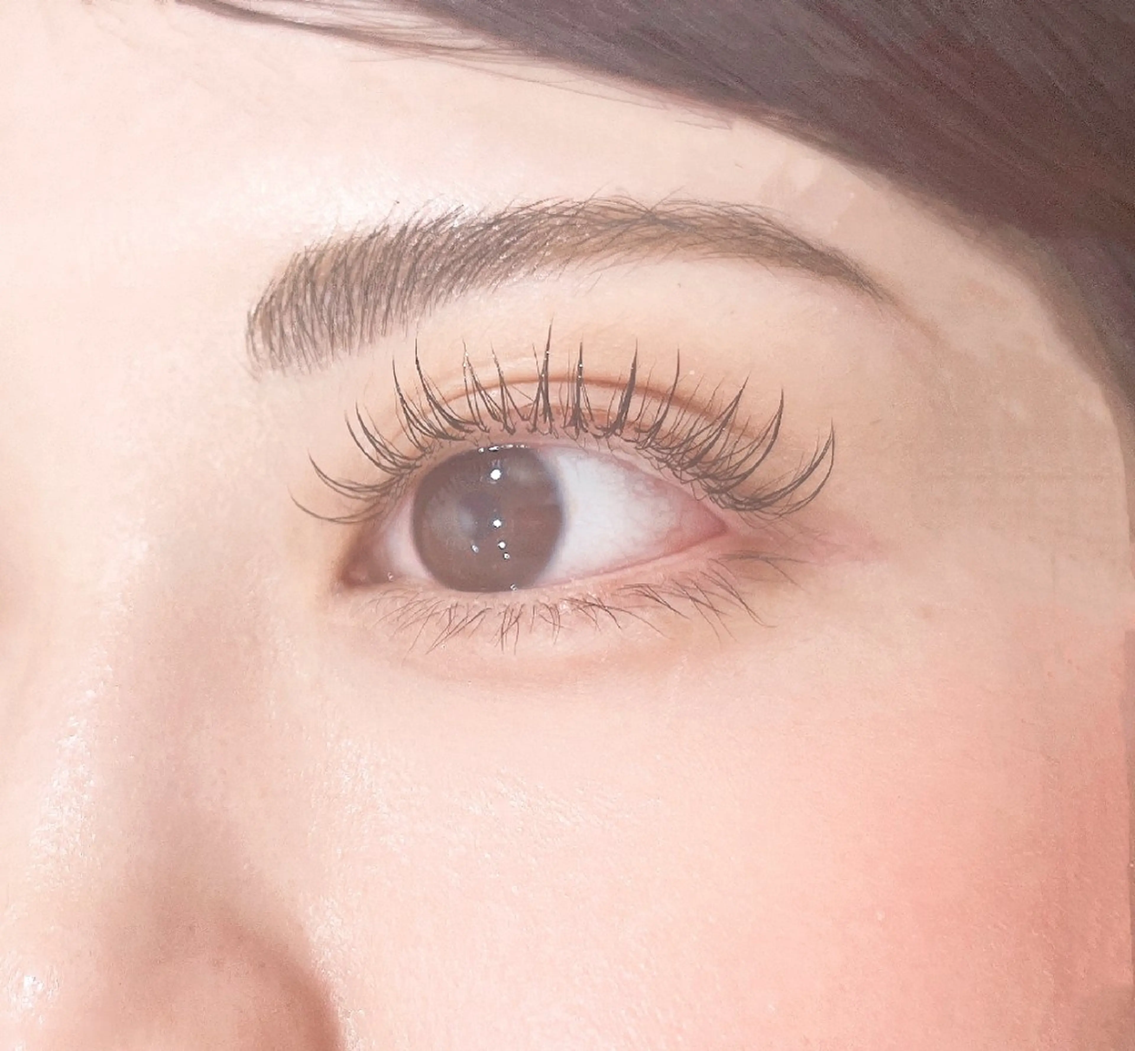 マツエク・マツパ マツエク ABマツエクネイル サロン2号店らくらくのマツエク・マツパデザイン