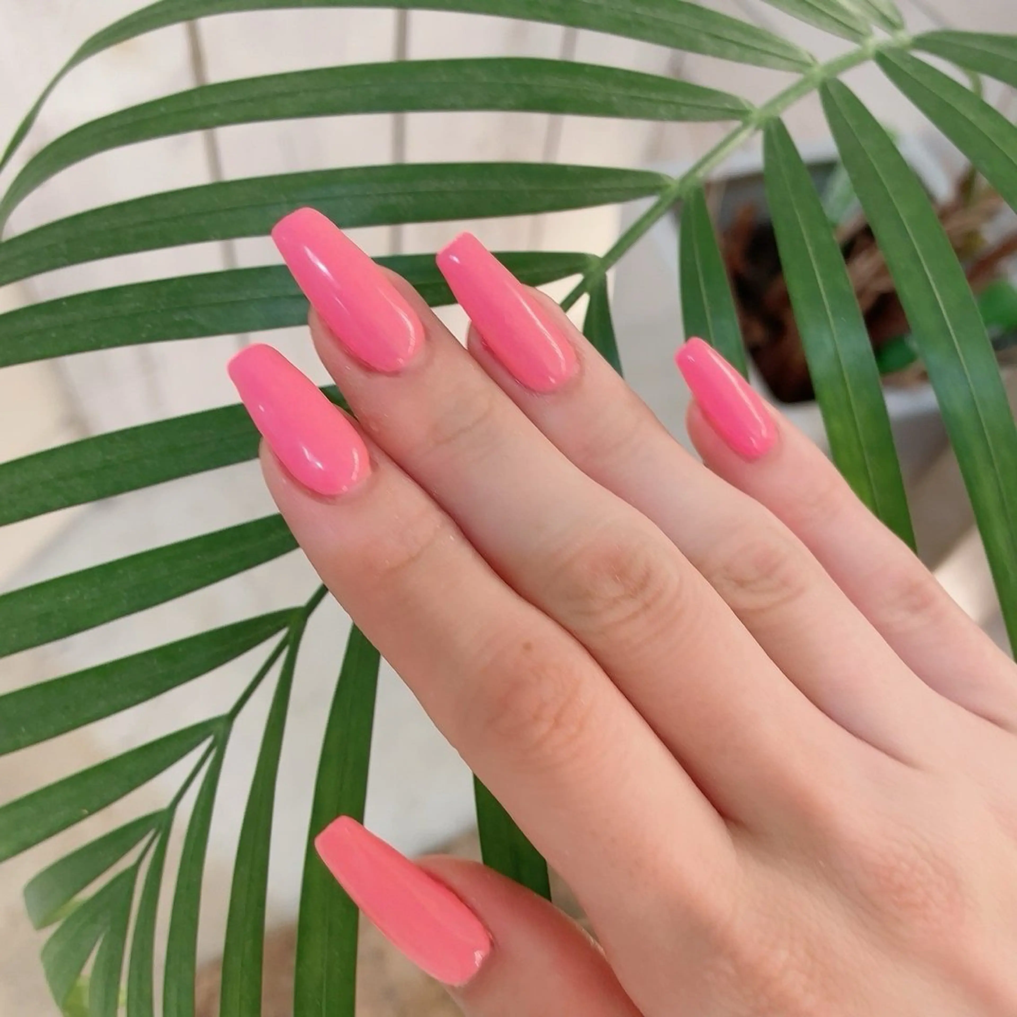 【長さだしコース💅オフ無しワンカラー】ミニモ特別価格🉐6500円の写真