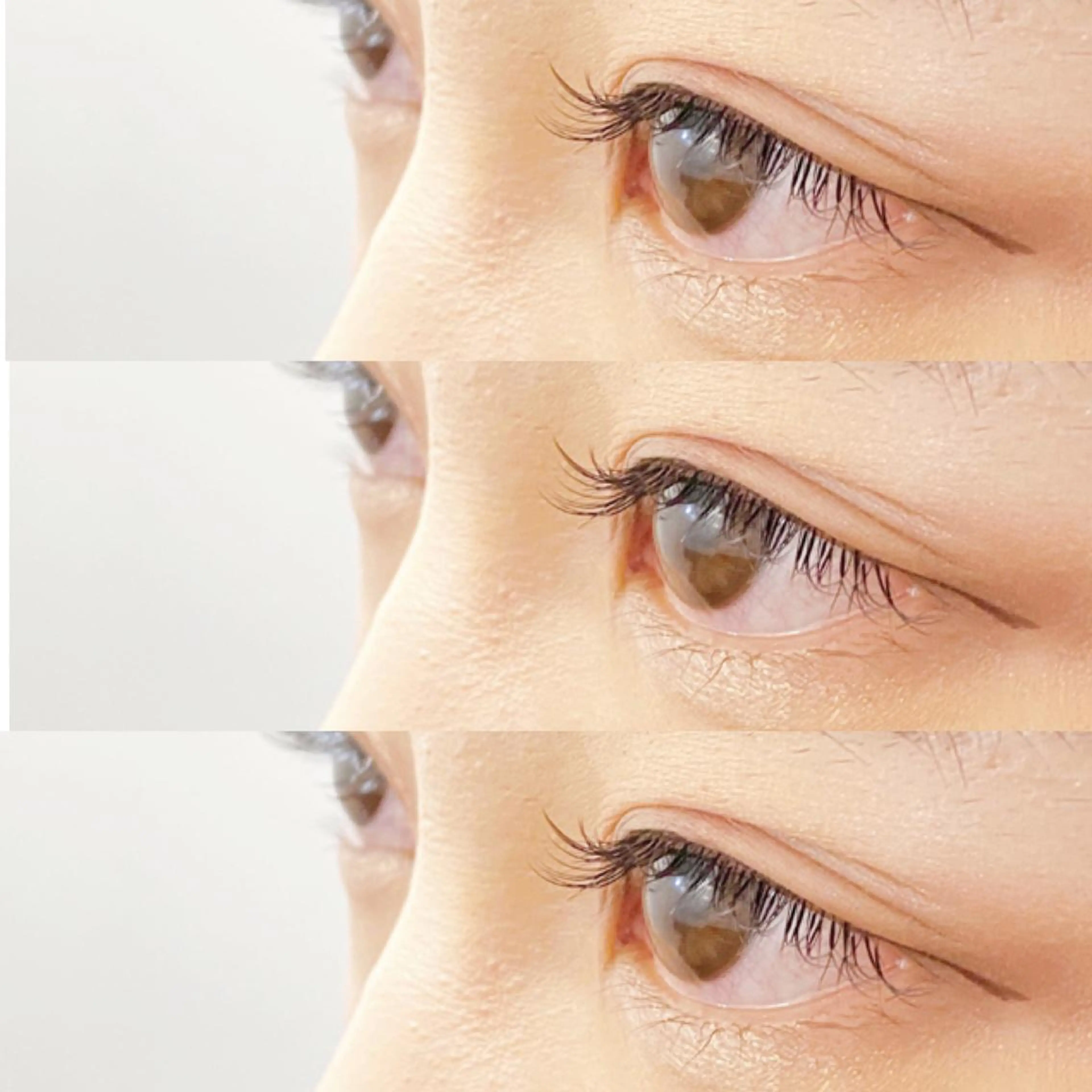 マツエク・マツパ covo eyelash所属・covo 🐻のマツエク・マツパデザイン