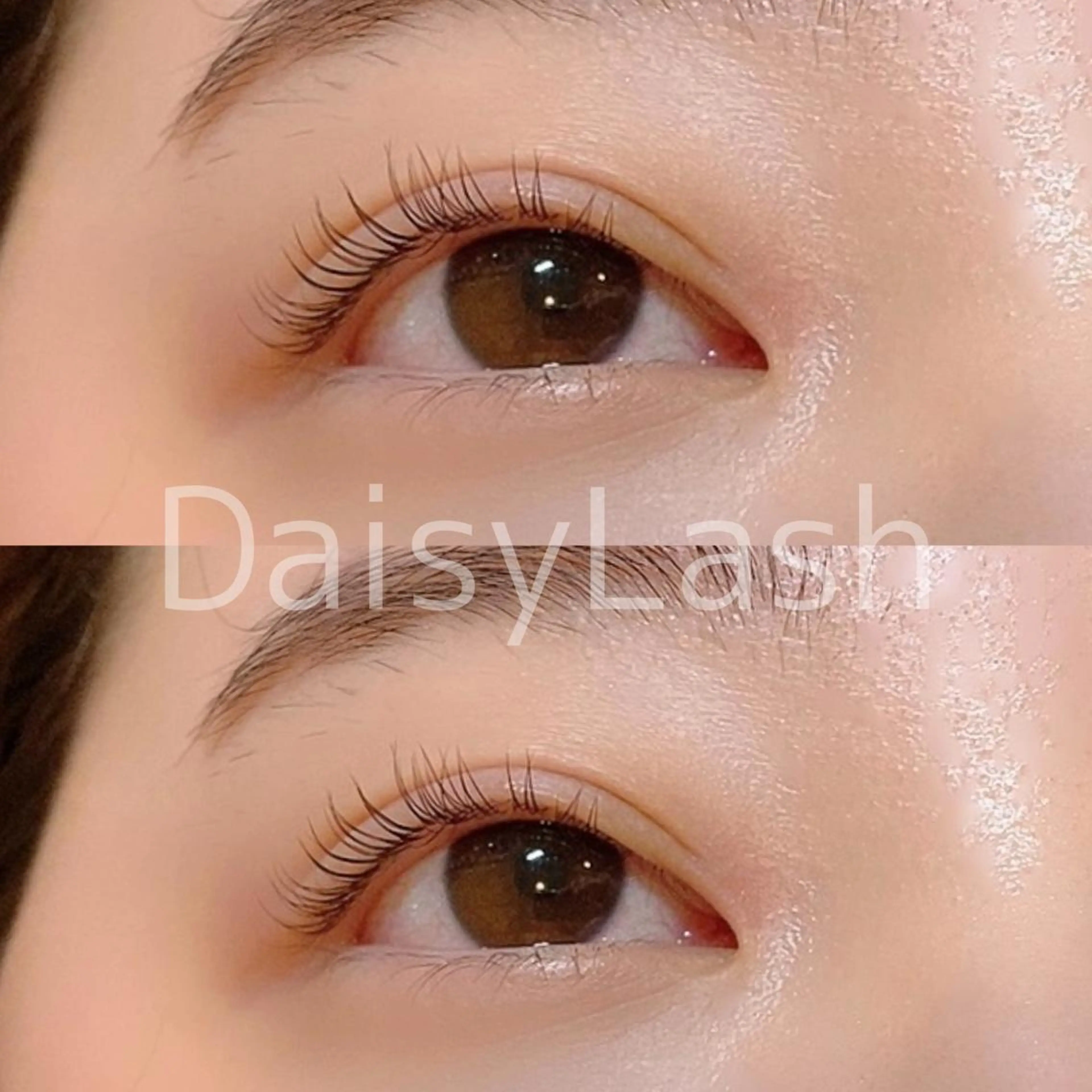 マツエク・マツパ DaisyLash 京橋店のマツエク・マツパデザイン