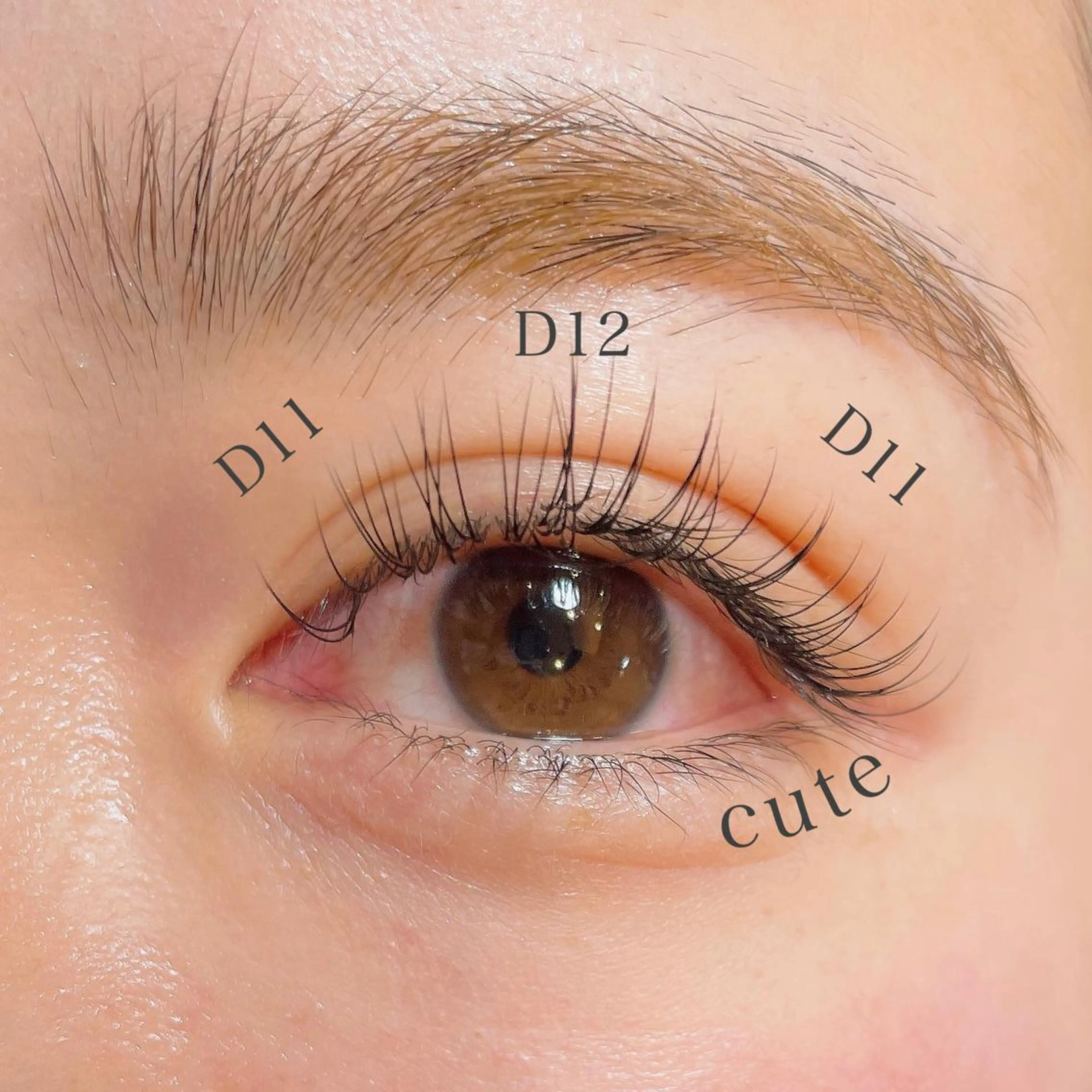 マツエク・マツパ キュート 玉木 愛の眉毛・アイブロウイメージ