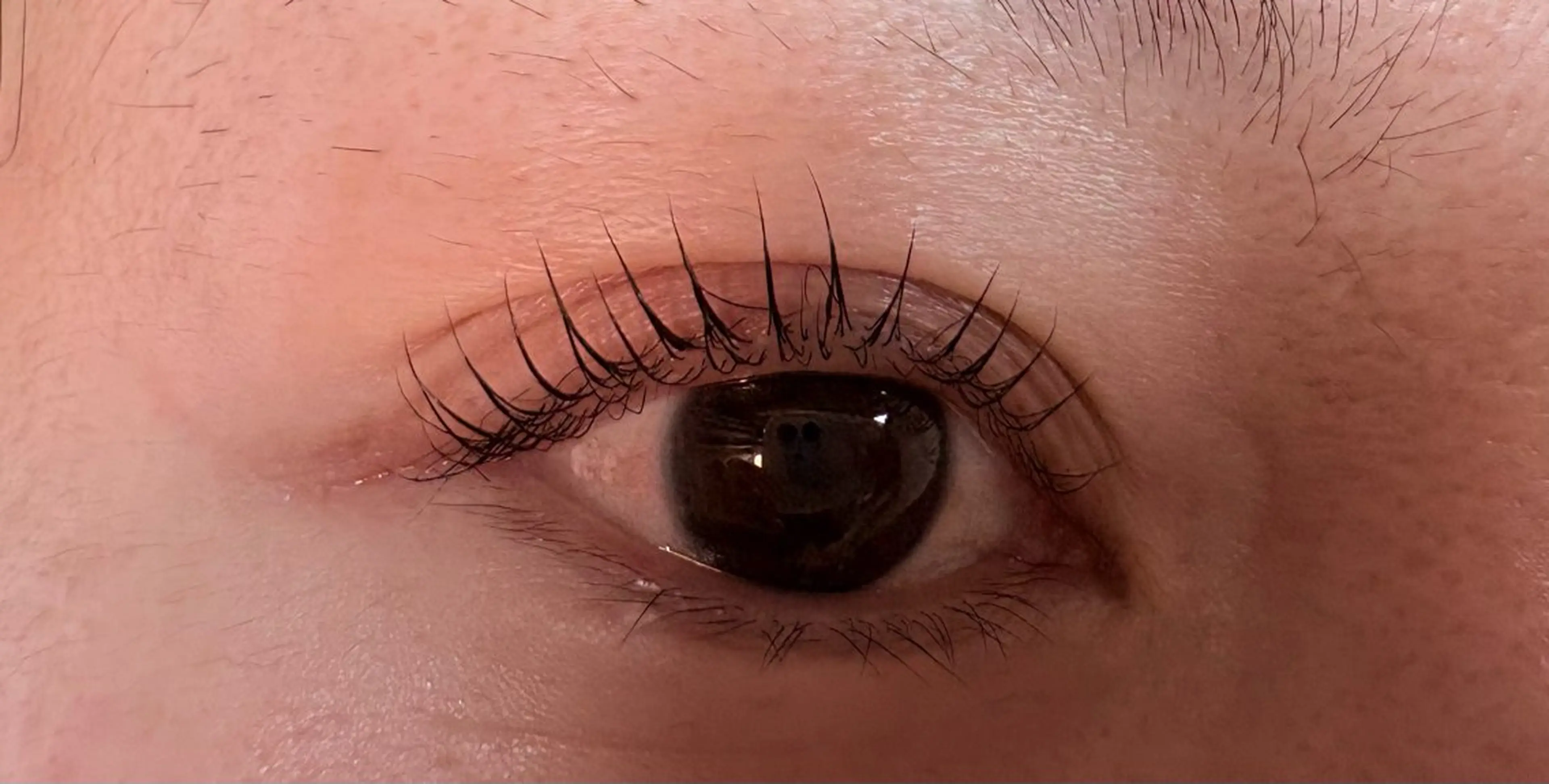 マツエク・マツパ トータルビューティー サロン・Ｎの眉毛・アイブロウイメージ