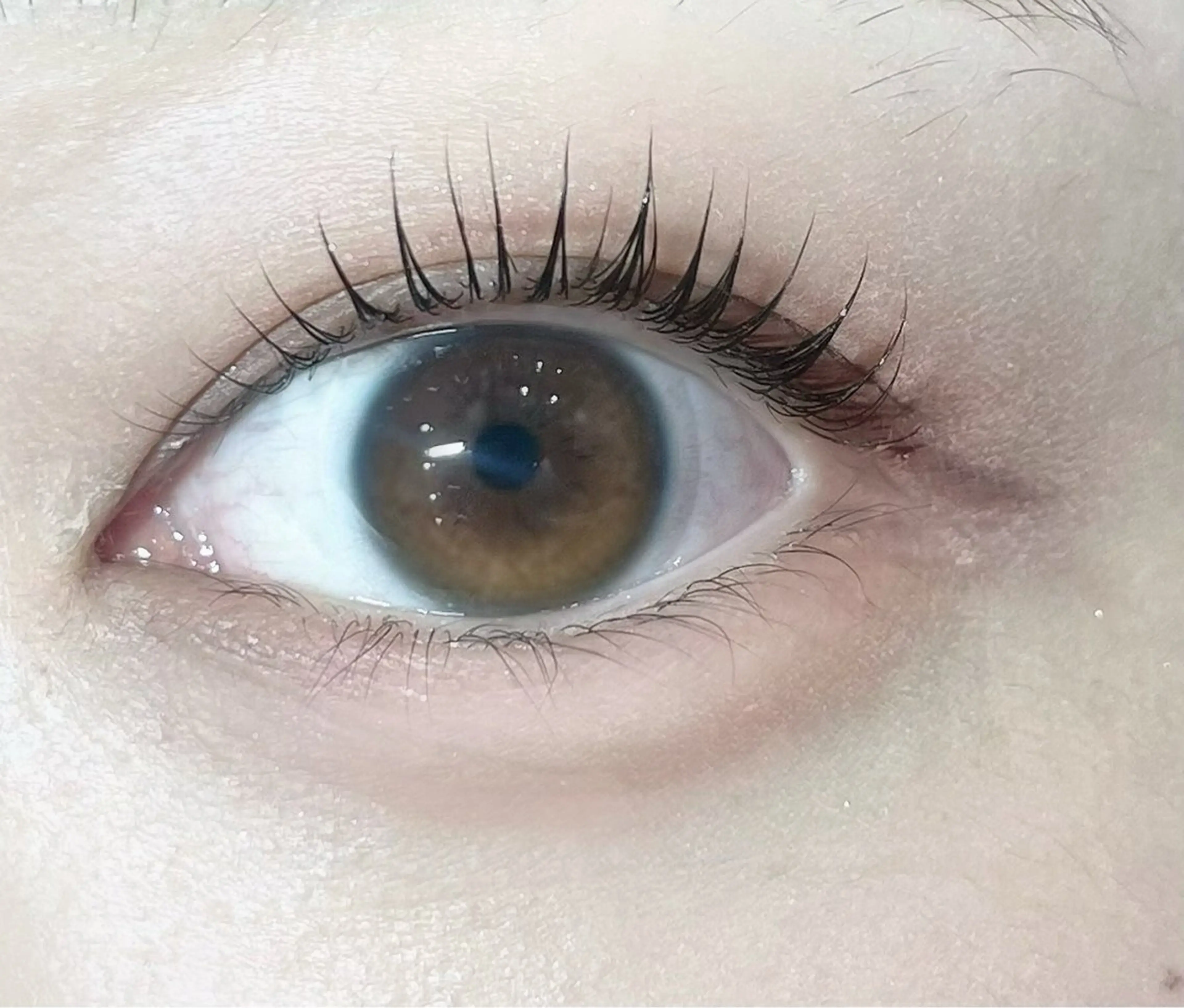 マツエク・マツパ ナチュラル 🎀lucida🎀 yukaのマツエク・マツパデザイン