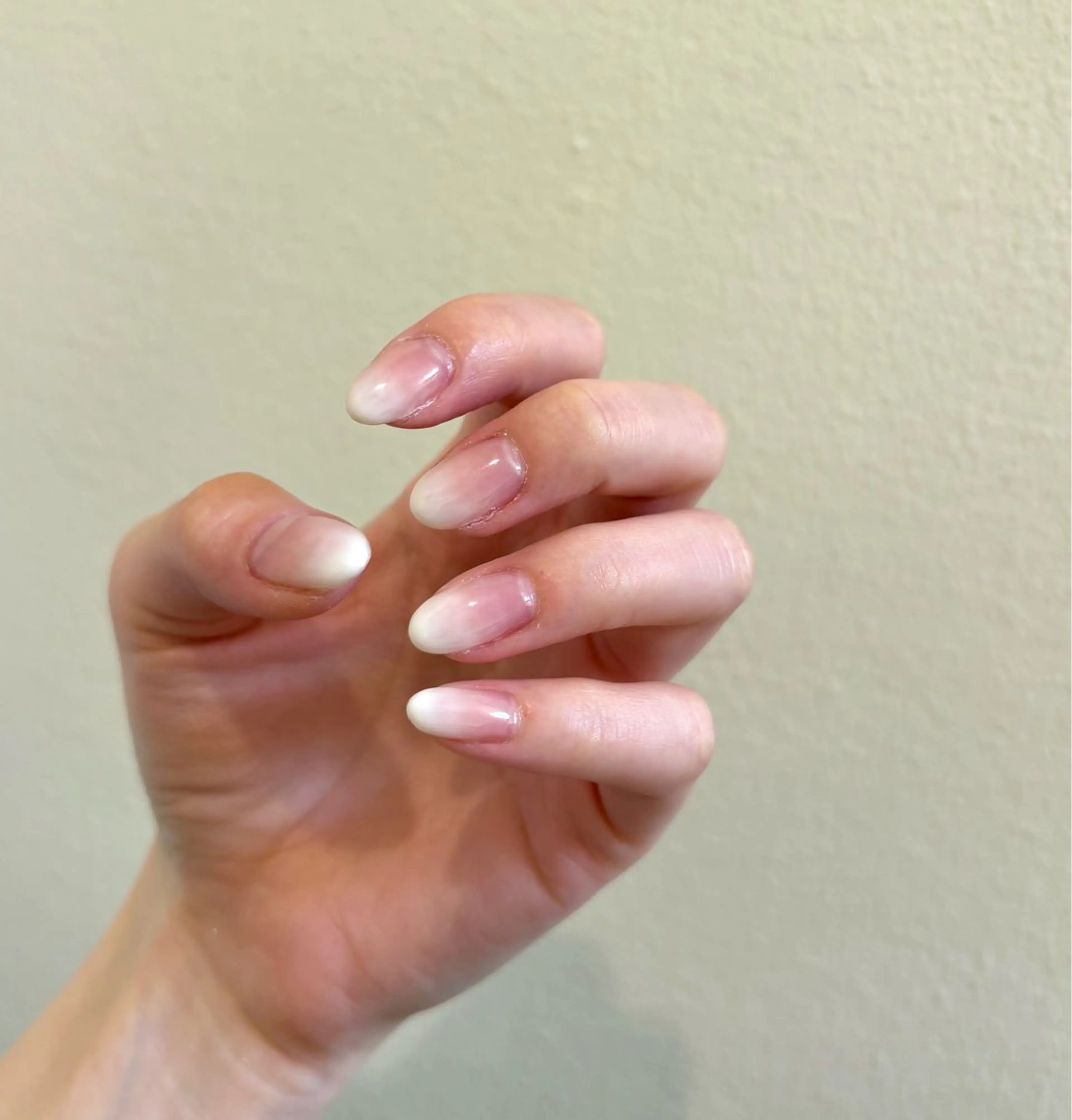 ⚠️注意事項必読⚠️白グラデーション(オフなし)の写真