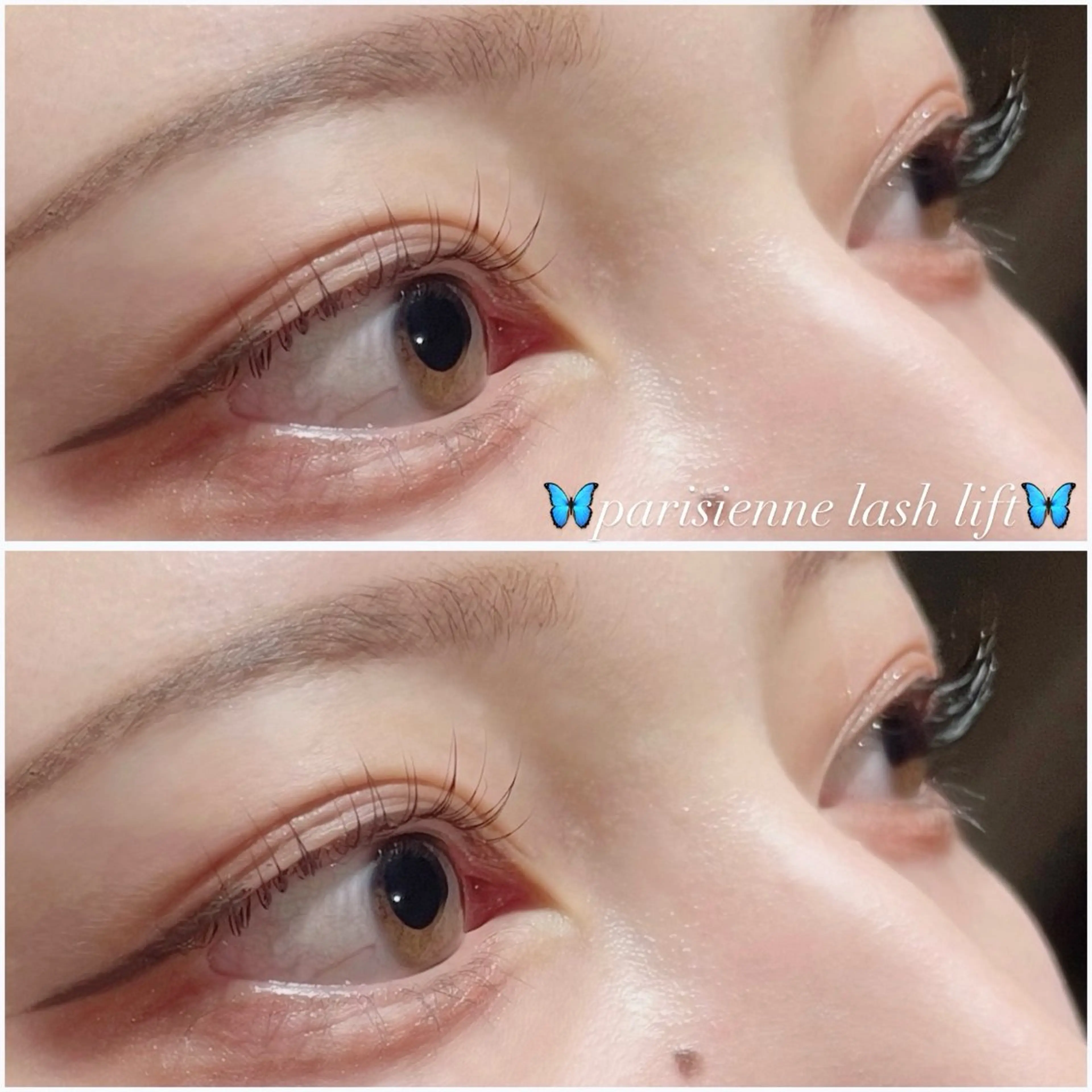 マツエク・マツパ パリジェンヌラッシュリフト マツパ そら 💙🐾のマツエク・マツパデザイン