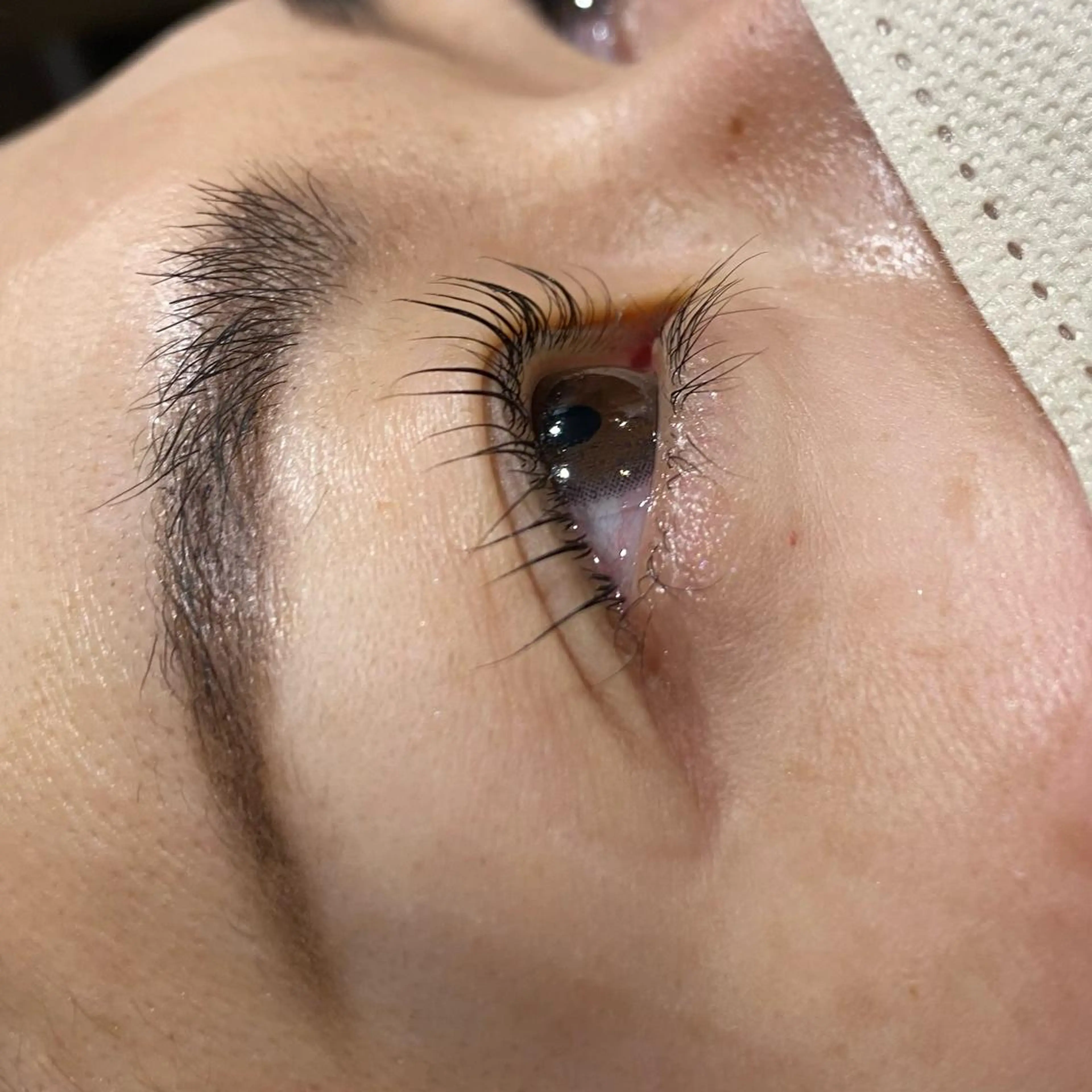 マツエク・マツパ pixie bob AIRIのマツエク・マツパデザイン