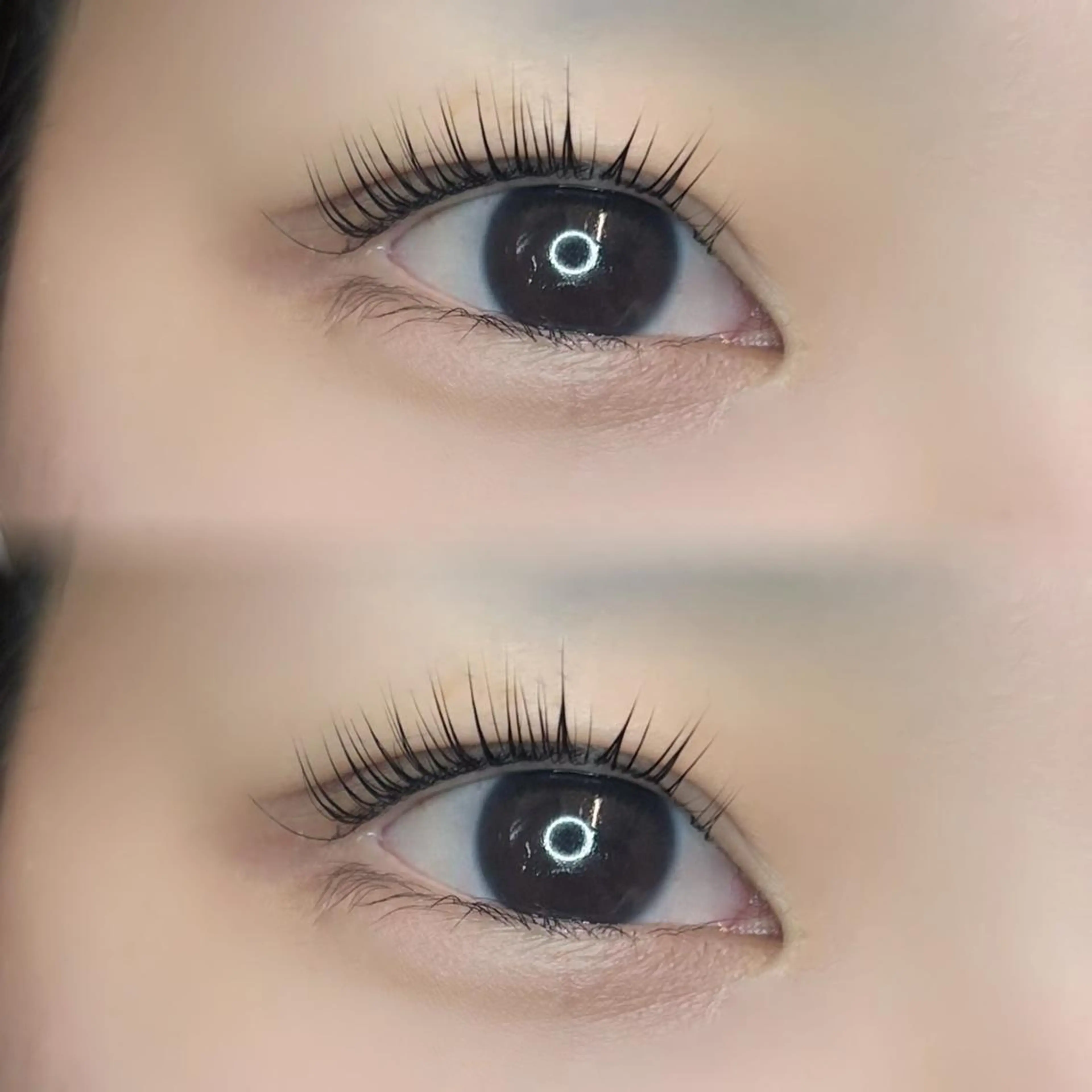 マツエク・マツパ パリジェンヌラッシュリフト 🦢✨fein. 原宿店✨🤍の眉毛・アイブロウイメージ