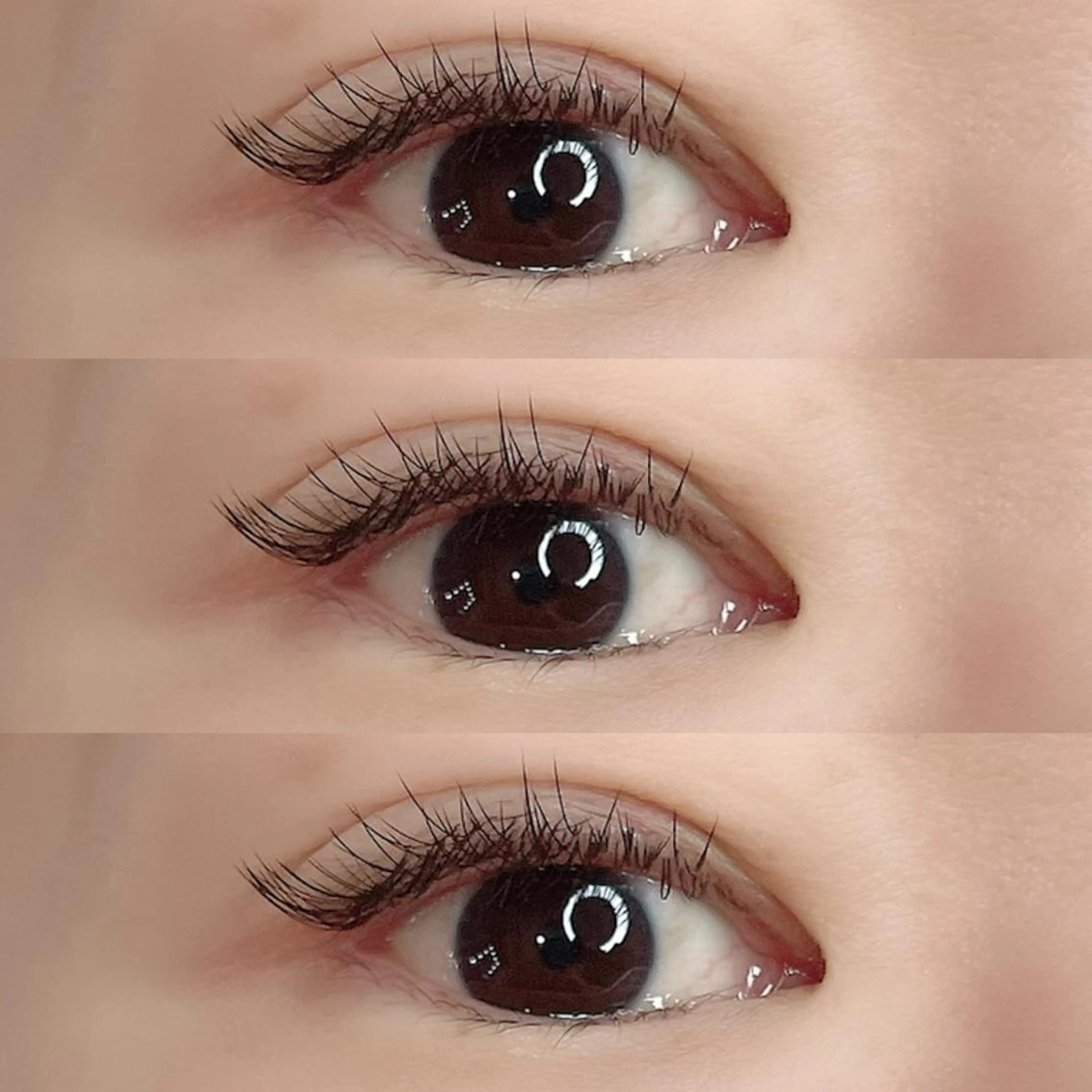 マツエク・マツパ ナチュラル 🤍二条城北iu. /IKUHOのマツエク・マツパデザイン