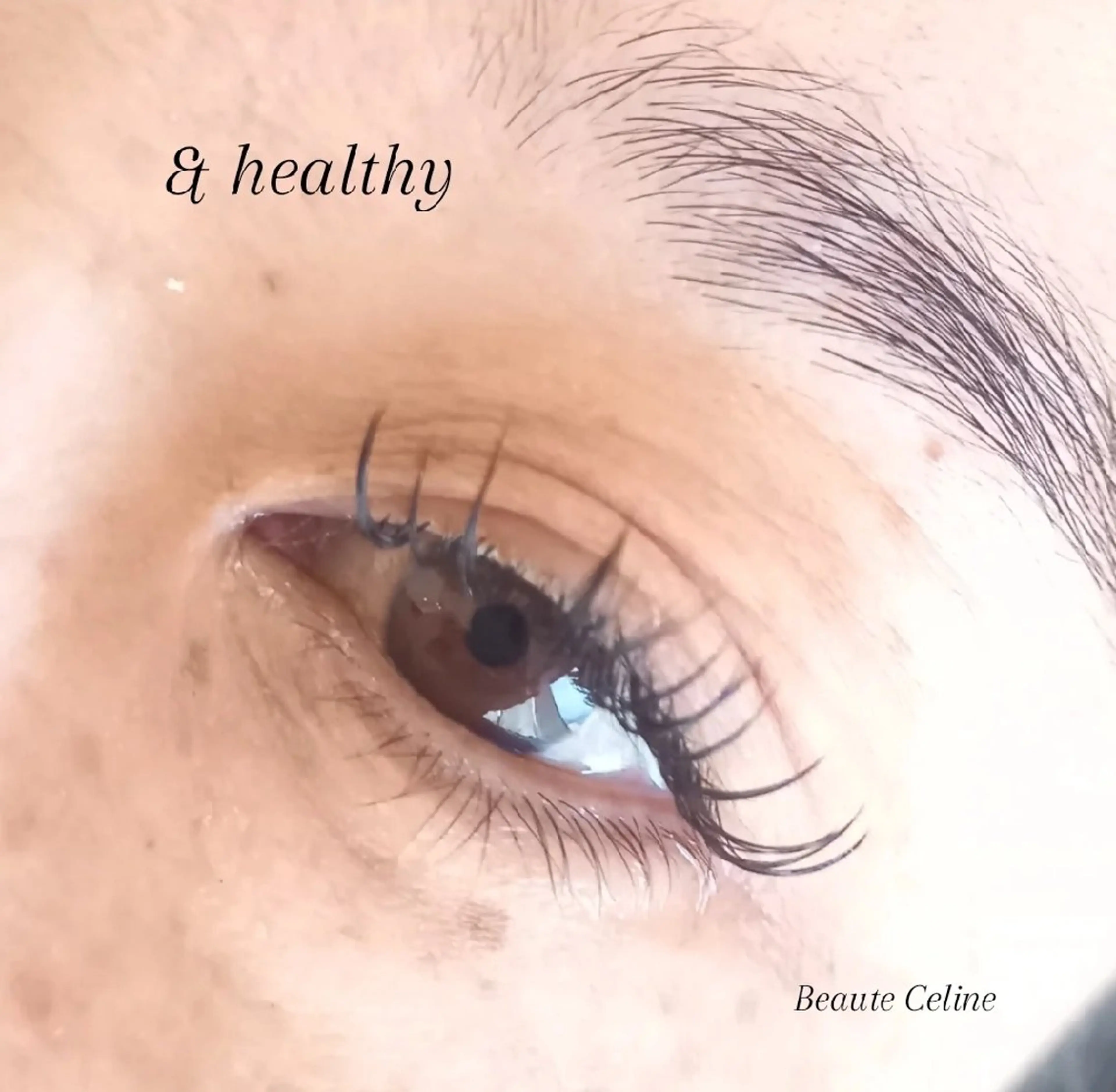 マツエク・マツパ マツエク beaute.celine所属・8時~✨beaute Celine🌛🌹のマツエク・マツパデザイン