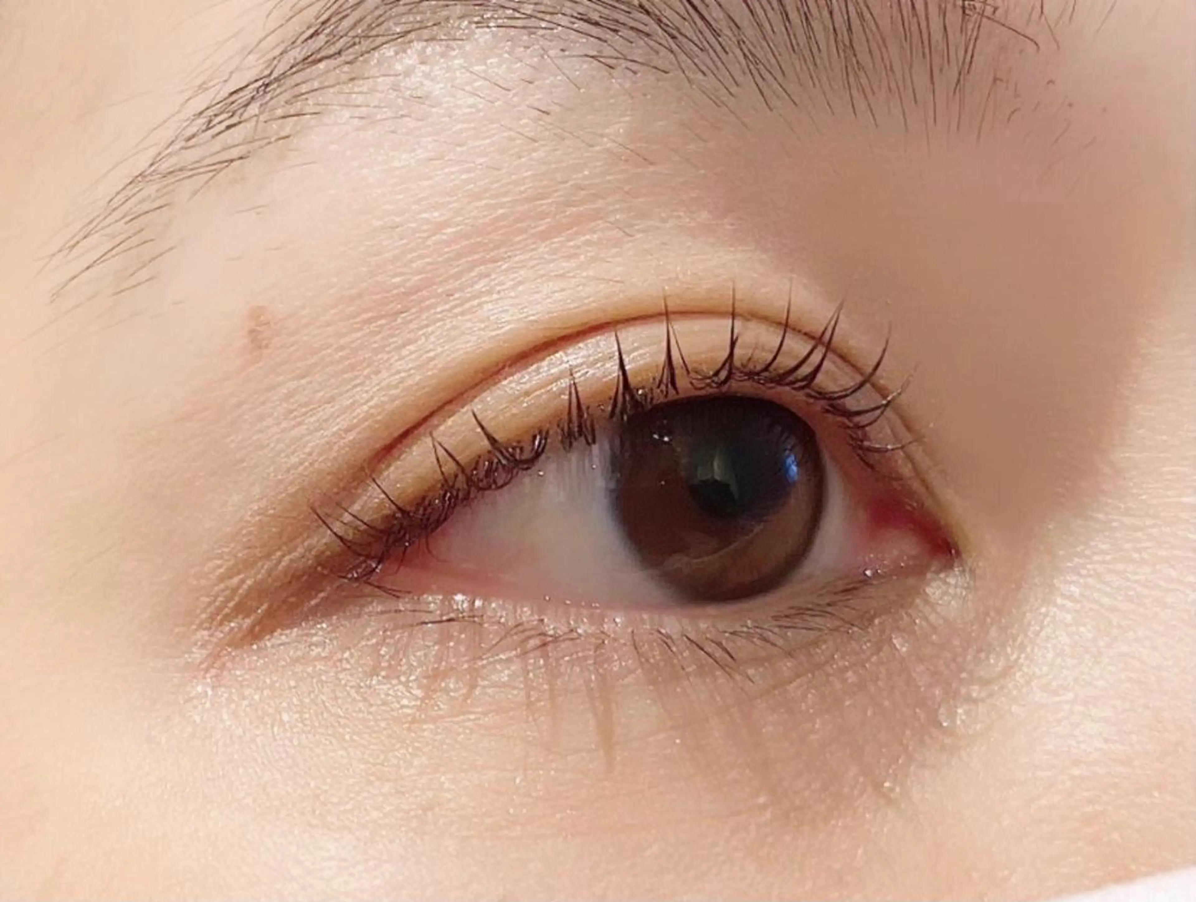 マツエク・マツパ 🌷SeneL🌷 YURIKAのマツエク・マツパデザイン