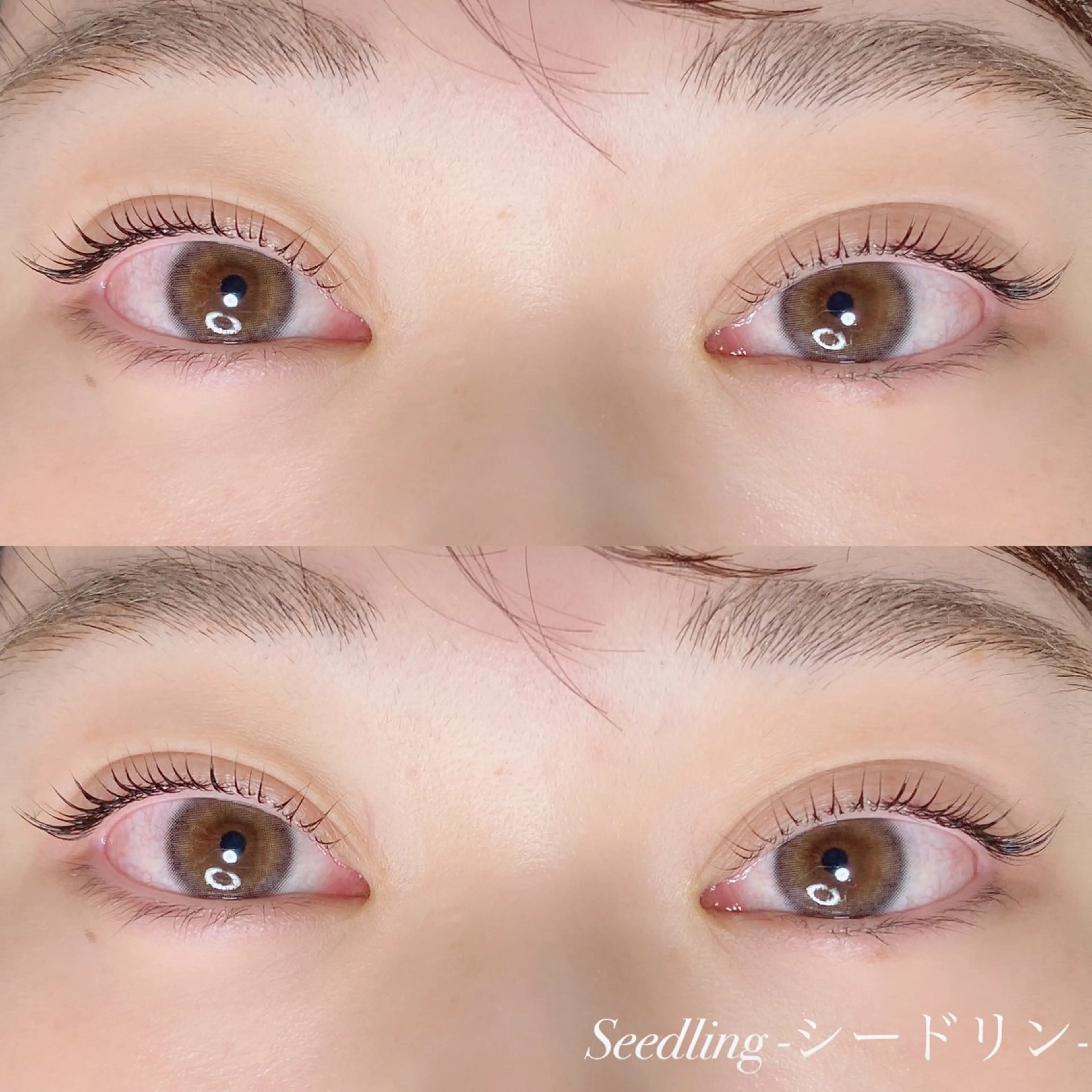 マツエク・マツパ シードリン 府内店 小野梨央のマツエク・マツパデザイン