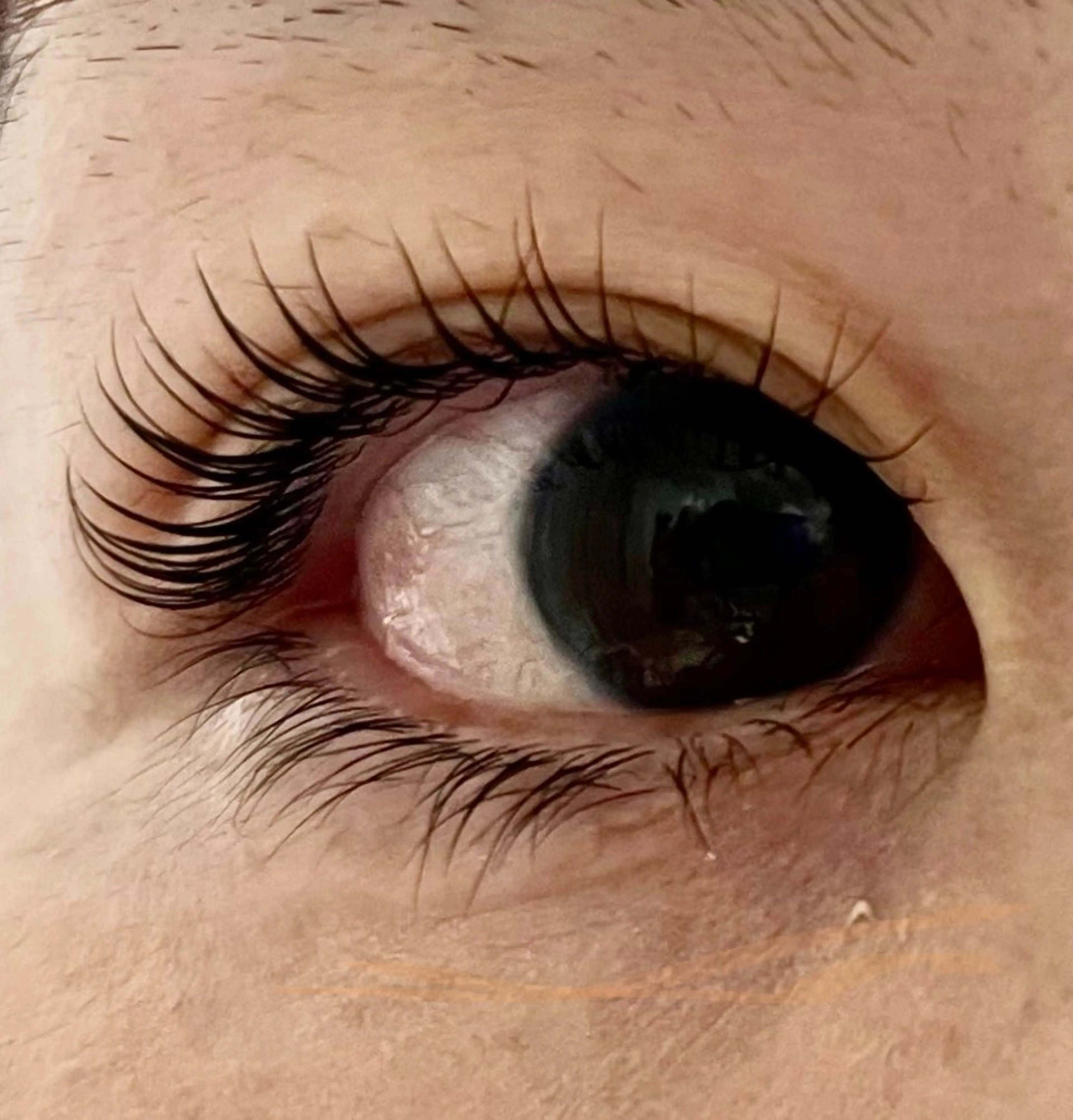 マツエク・マツパ サロンブルー あやこのマツエク・マツパデザイン