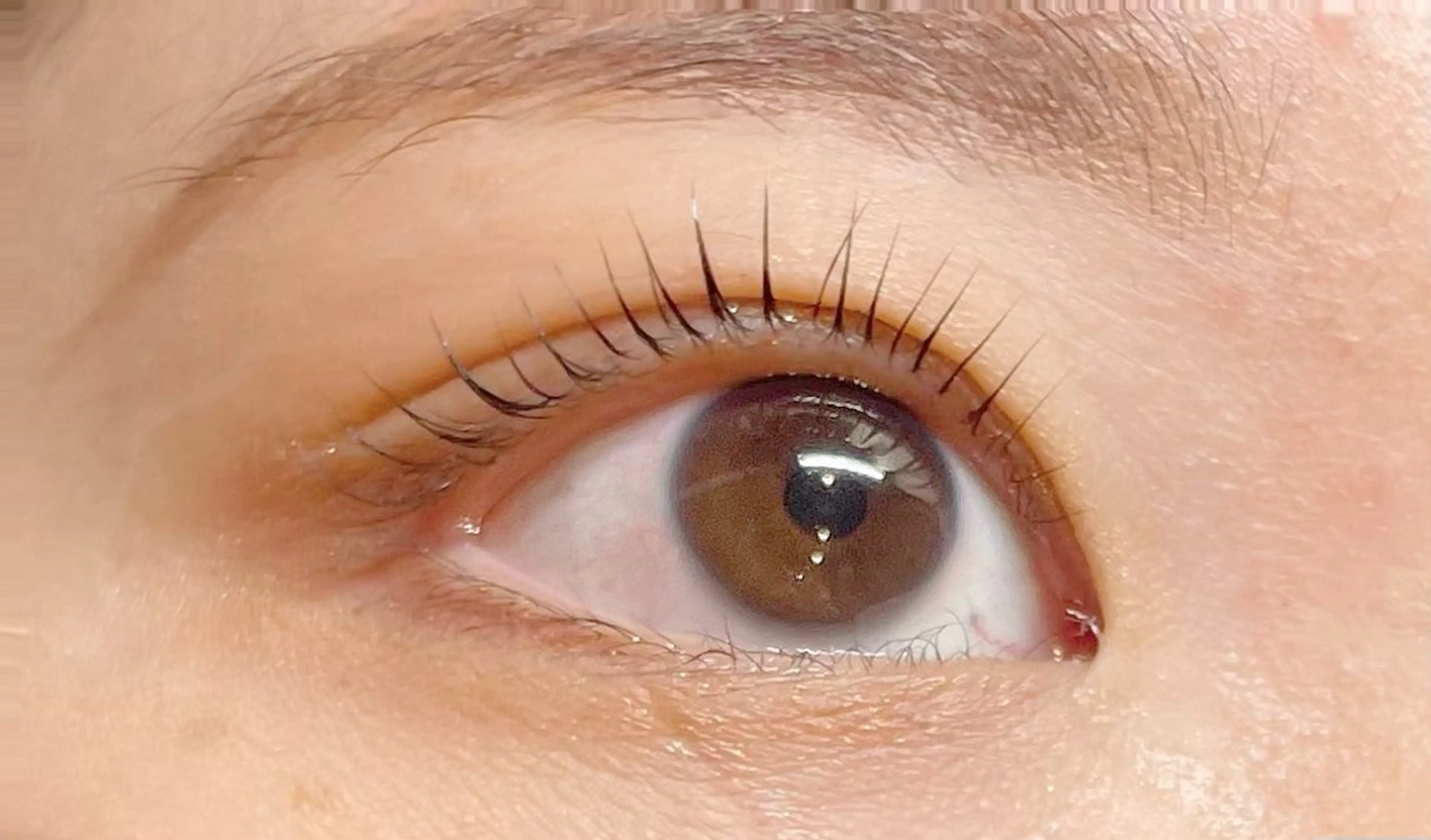 マツエク・マツパ 山士家 芽祈のマツエク・マツパデザイン