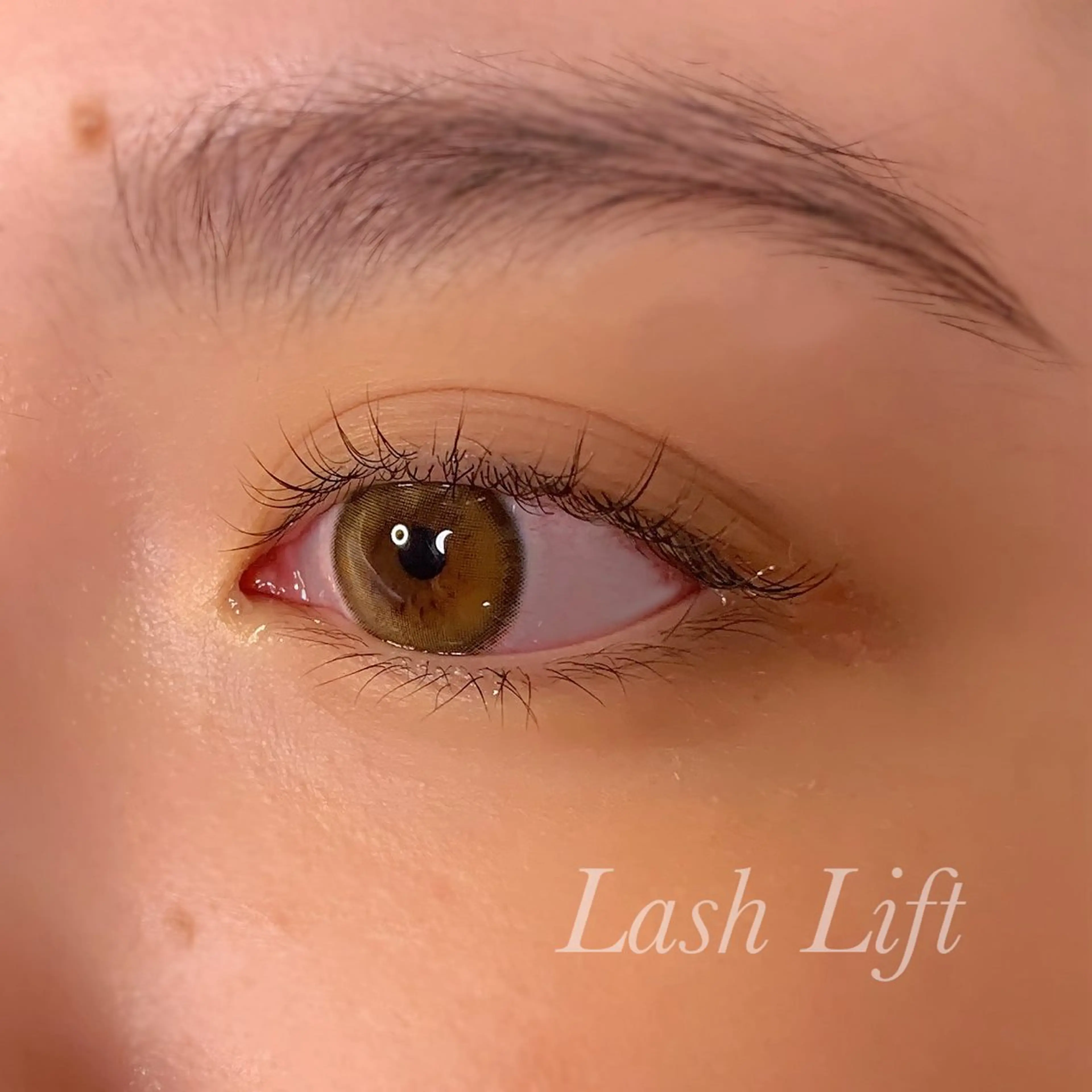 マツエク・マツパ まつげパーマ マツパ Ayumi.pro 🍆N《4階》のマツエク・マツパデザイン