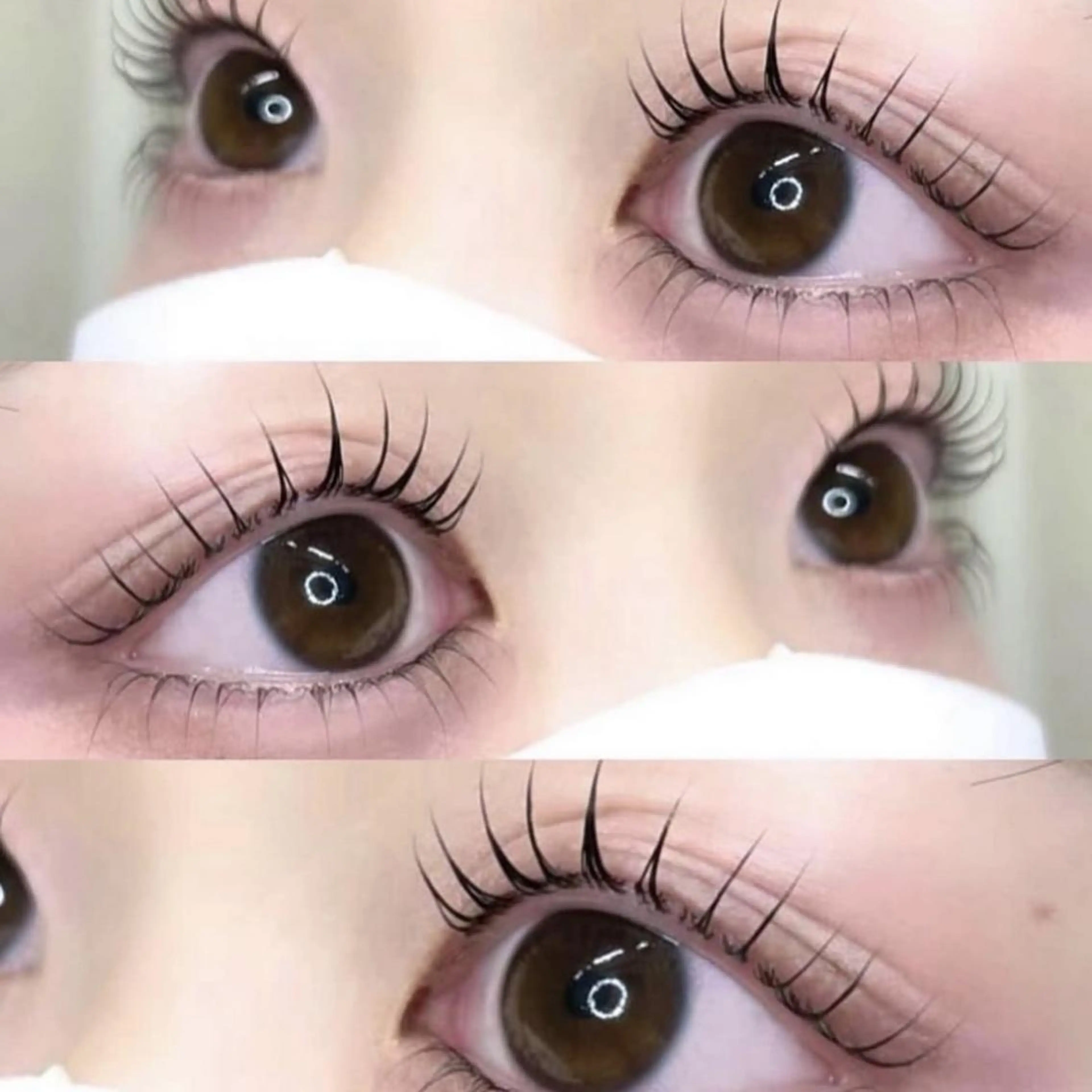 ✨韓国発✨ マスカラパーマブラックティント付きパリジェンヌorラッシュリフト⚠️補足説明欄必読⚠️の写真