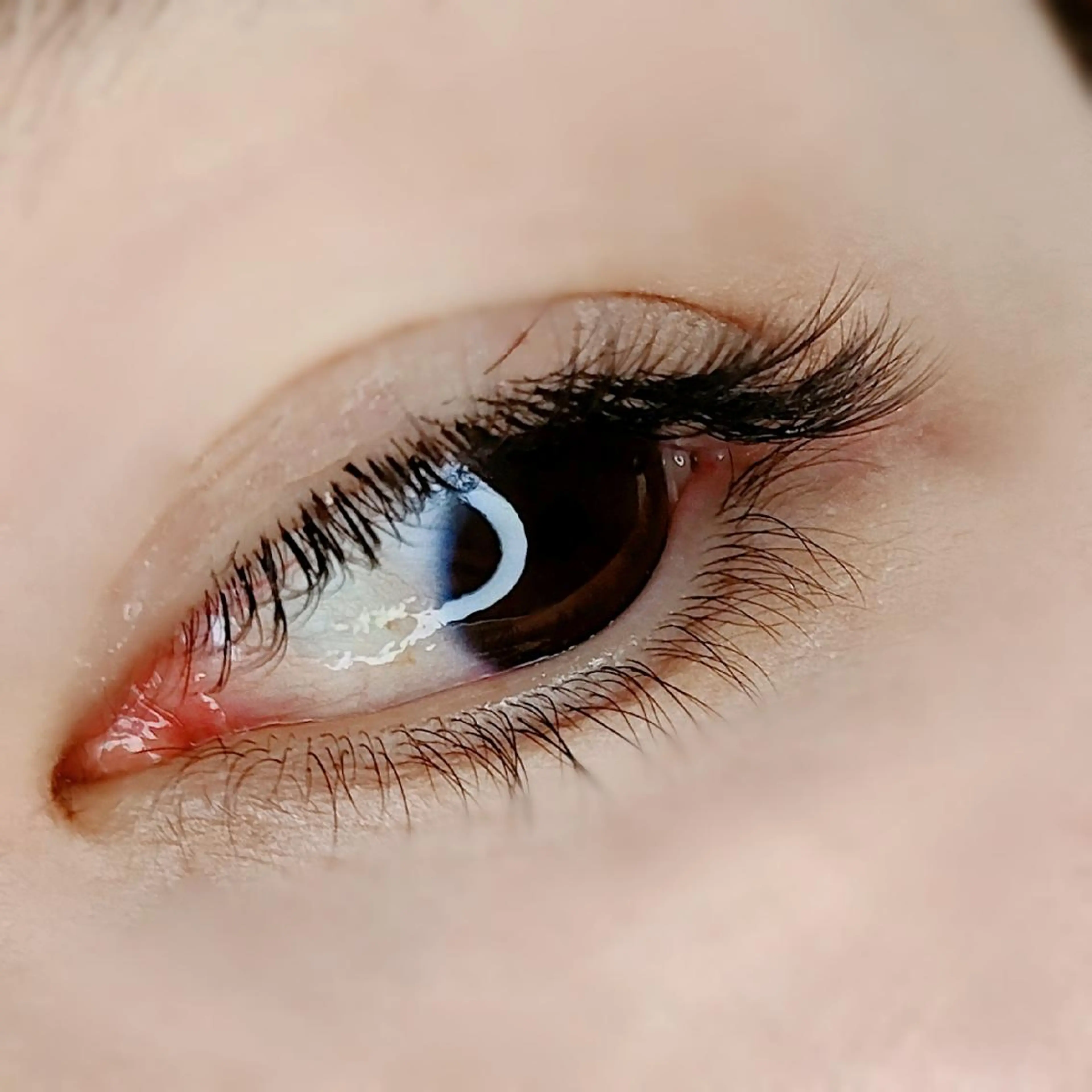 マツエク・マツパ 平山 ゆりのマツエク・マツパデザイン