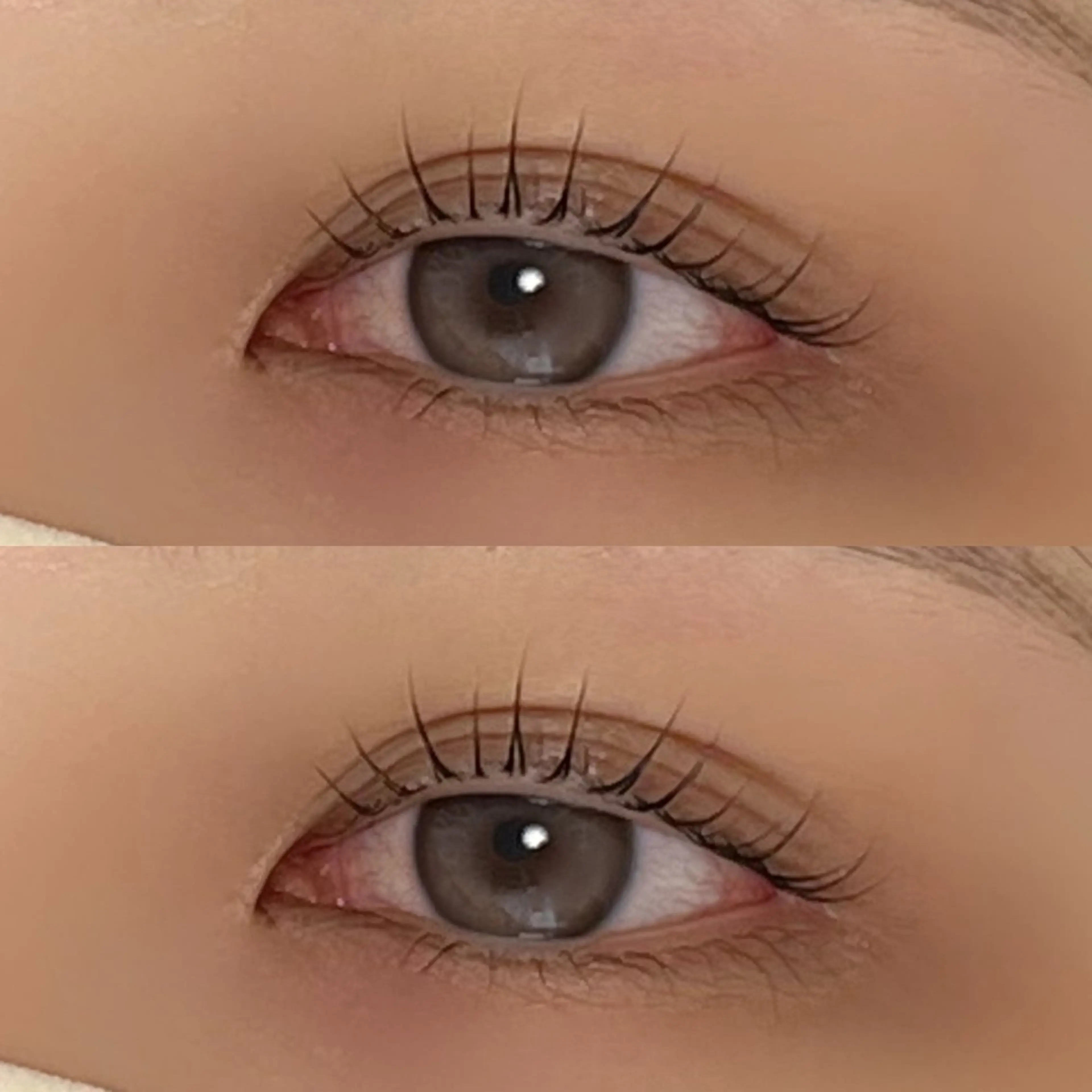 🦋束感まつ毛パーマ🦋の写真