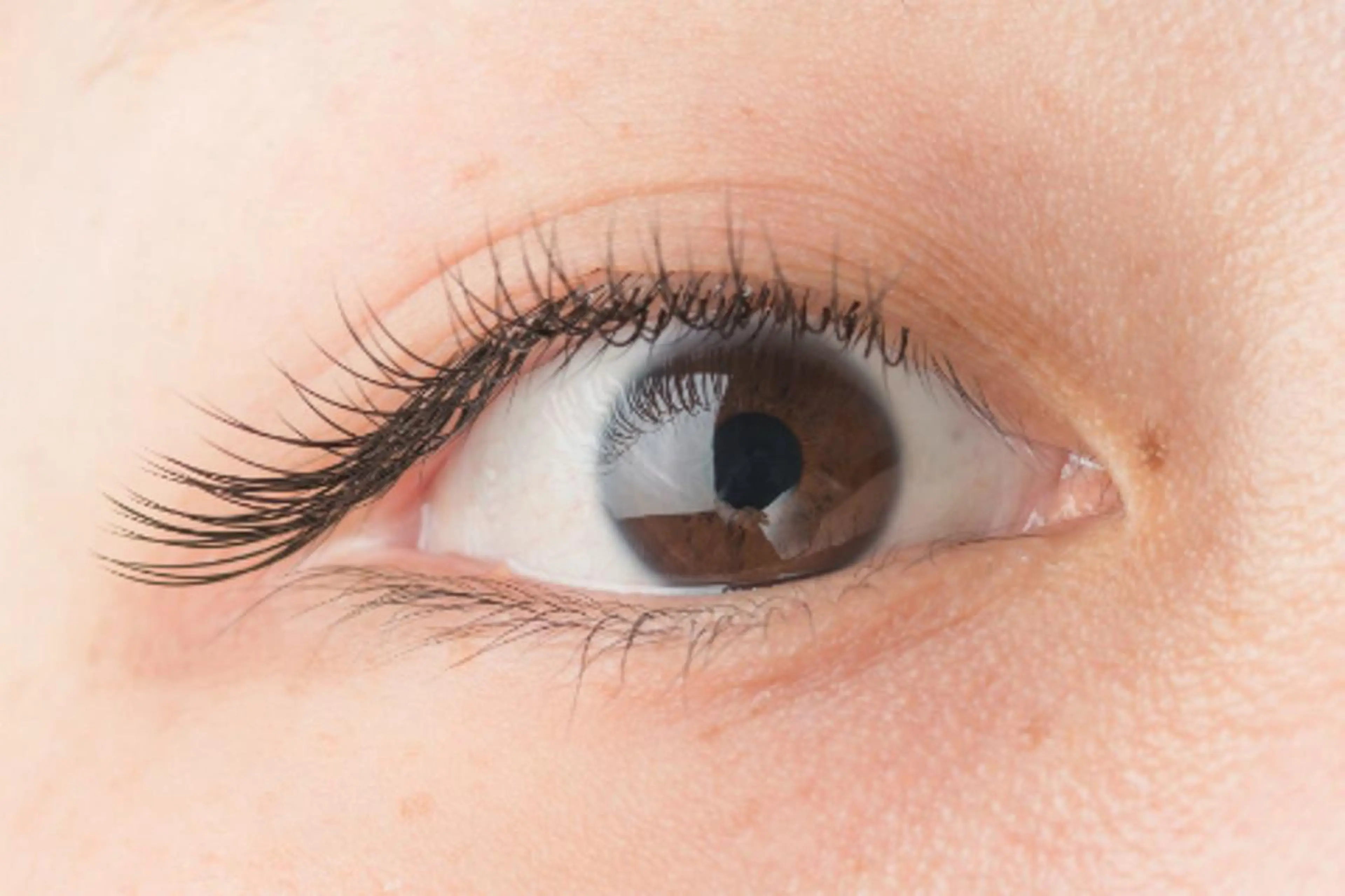 マツエク・マツパ ミンク アイサロン フェア 川崎店のマツエク・マツパデザイン