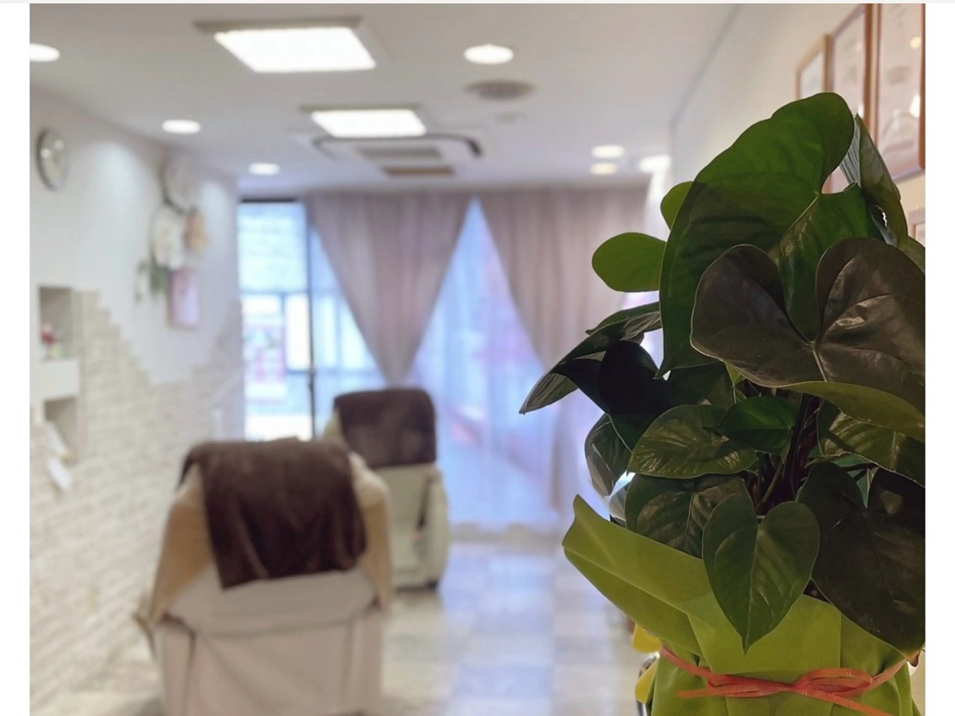 【ソフトジェルのみオフ込み】ワンカラーの写真