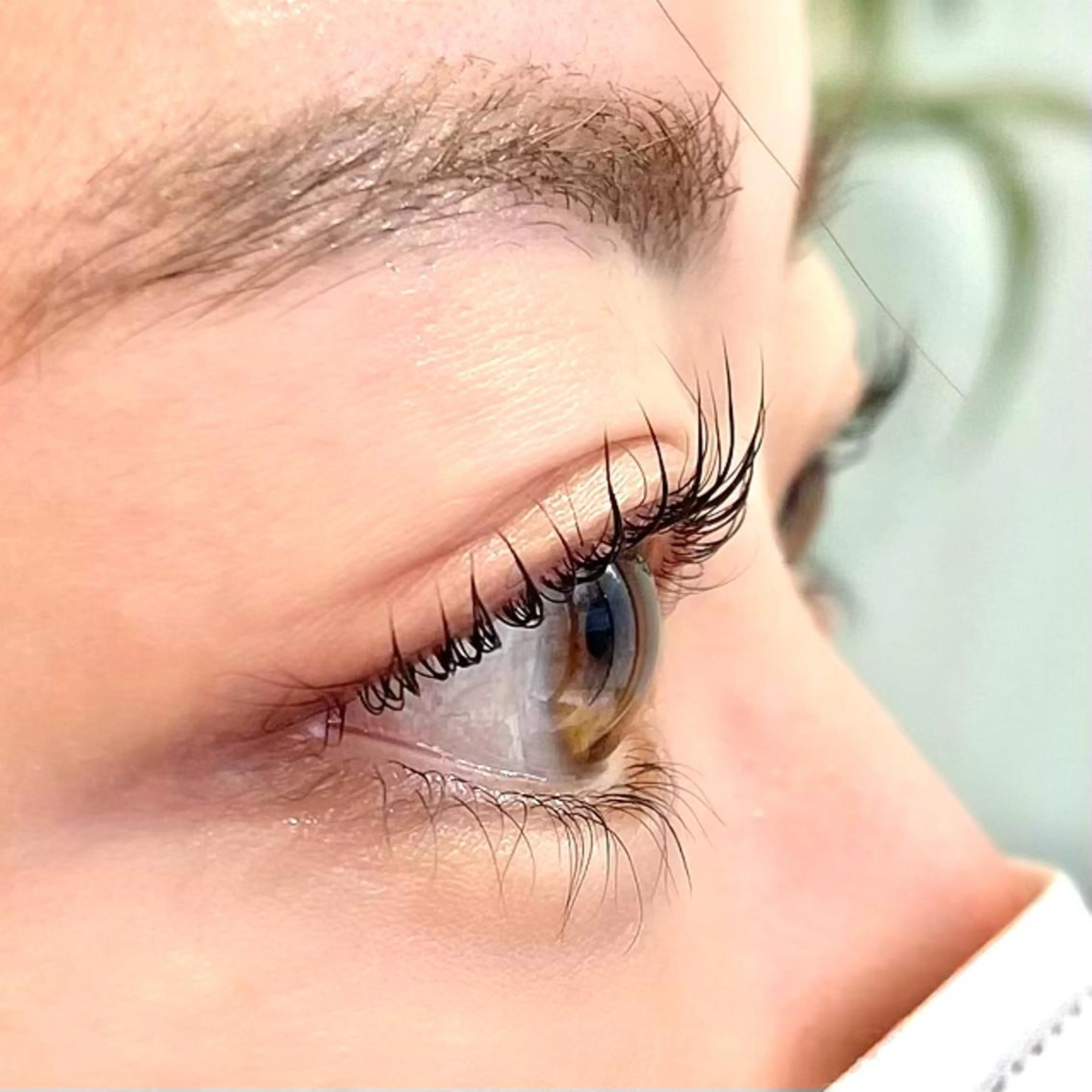 マツエク・マツパ パリジェンヌラッシュリフト マツパ 当日◎中目黒 まつげまゆげサロンのマツエク・マツパデザイン