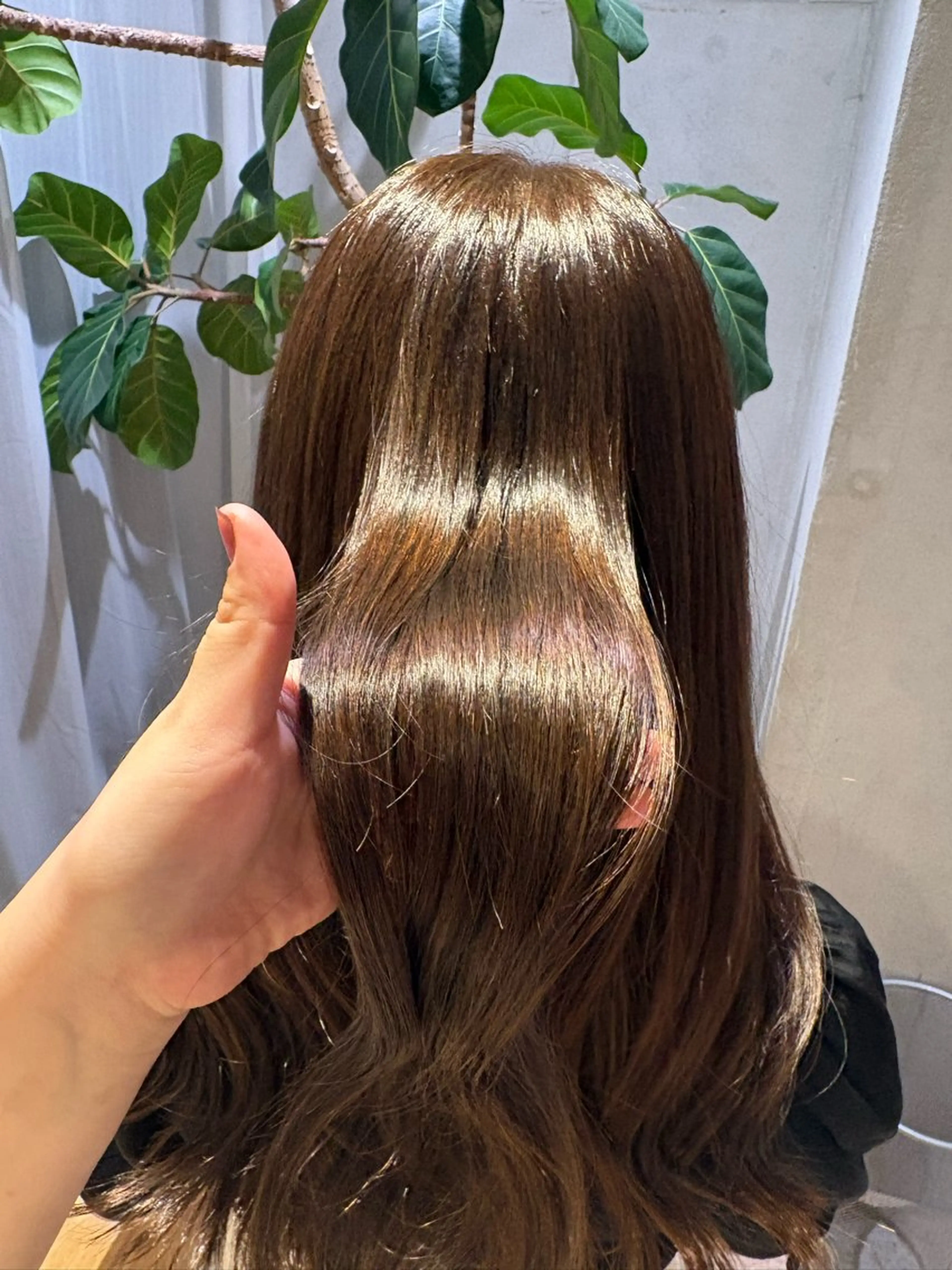 🫧透明感ワンカラー➕保湿トリートメント🫧の写真