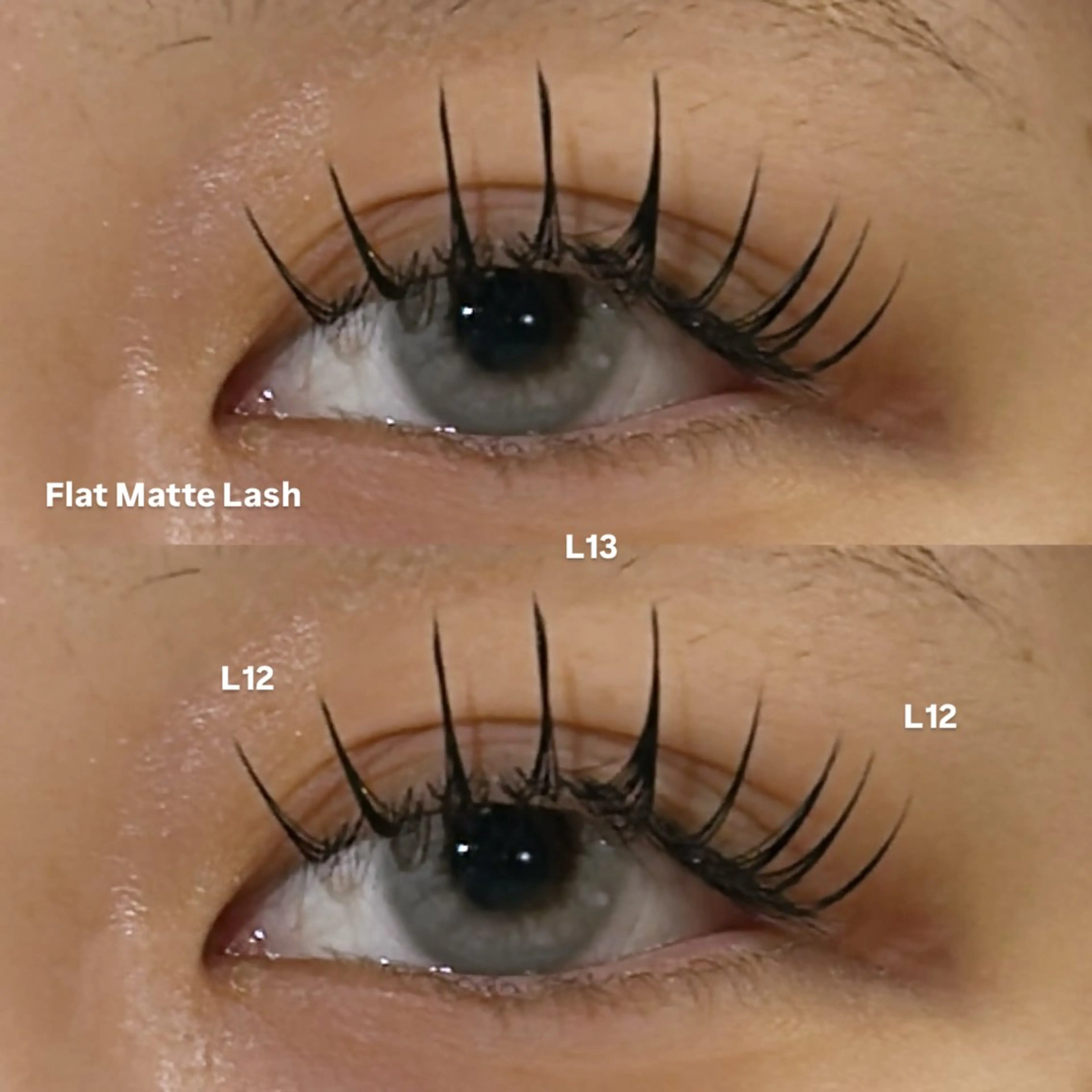 マツエク・マツパ マツエク 透明感ツヤカラー/ アイリスト/ゆきなのマツエク・マツパデザイン