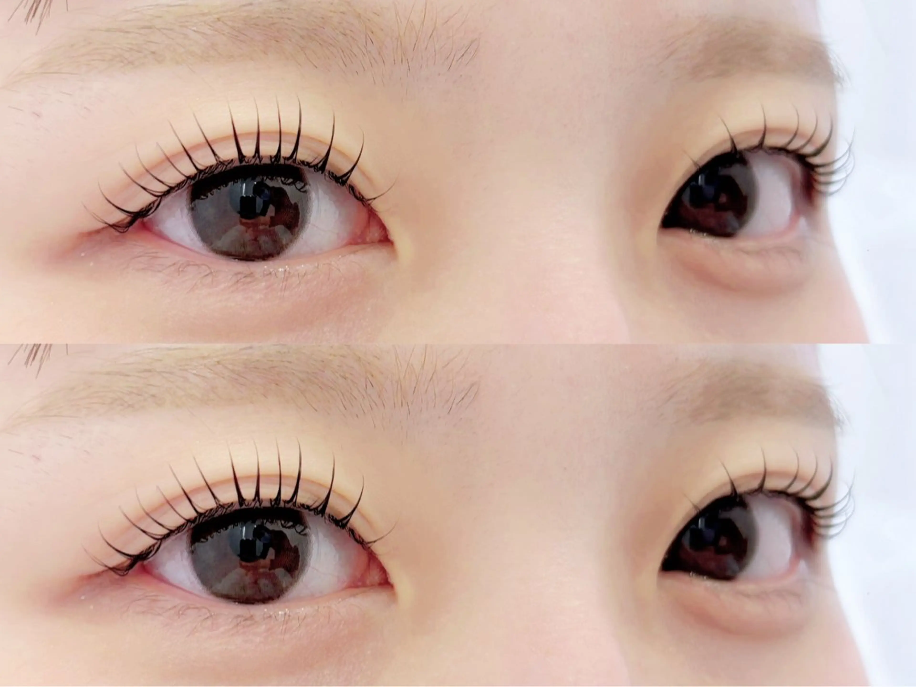 マツエク・マツパ マツパ 🌙Lily 船橋 鈴木のマツエク・マツパデザイン