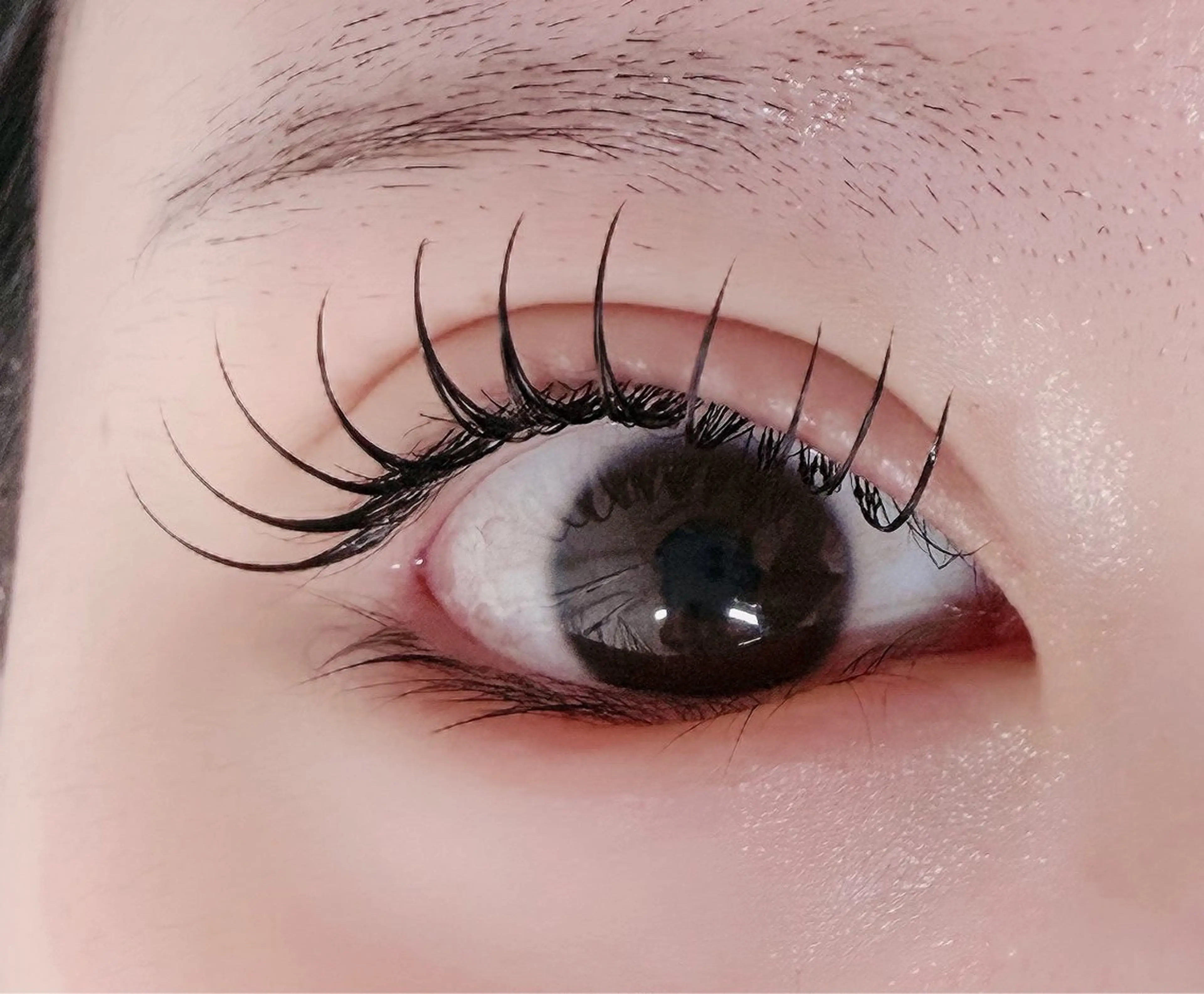 マツエク・マツパ フラットラッシュ マツエク ルチア💞 lucia高田馬場のマツエク・マツパデザイン