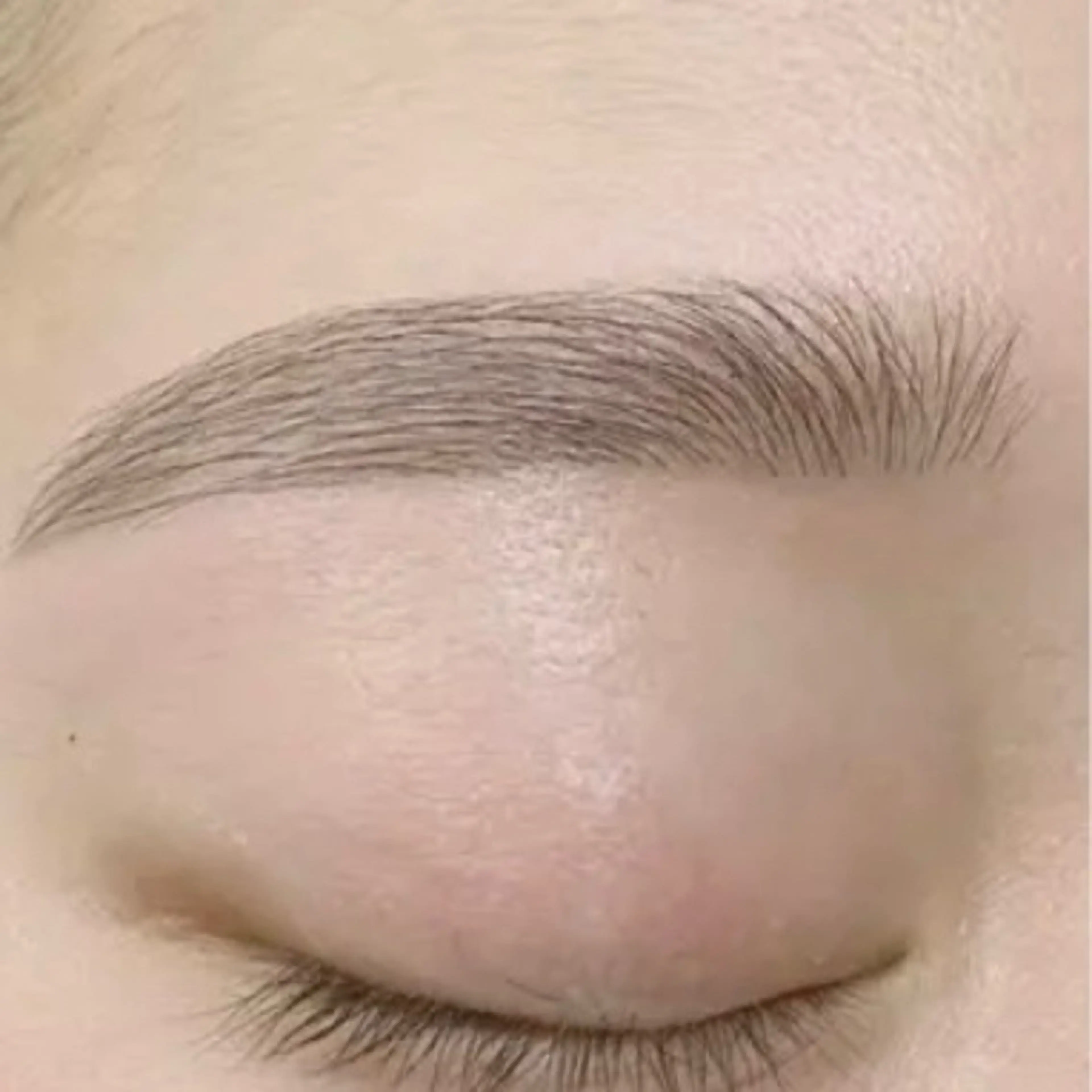 アイブロウ 🐕‍🦺ecarg azusa♡の眉毛・アイブロウイメージ