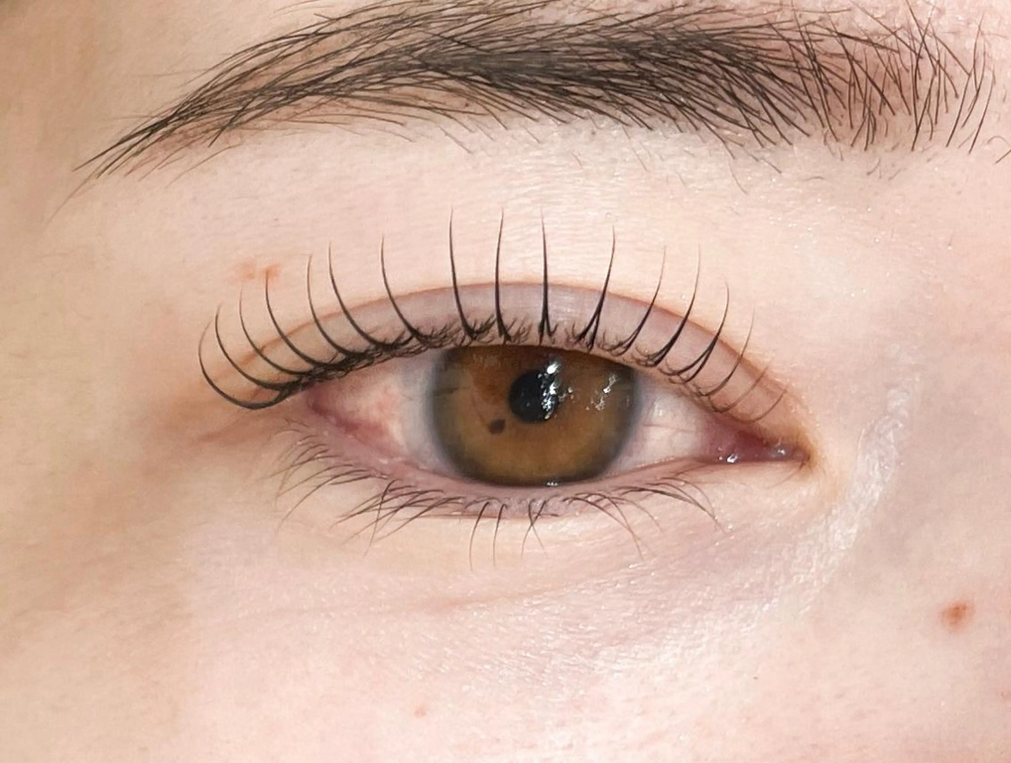 メンズ マツエク・マツパ アイブロウ マツパ 𓂃◌𓈒𓐍 shioriの眉毛・アイブロウイメージ