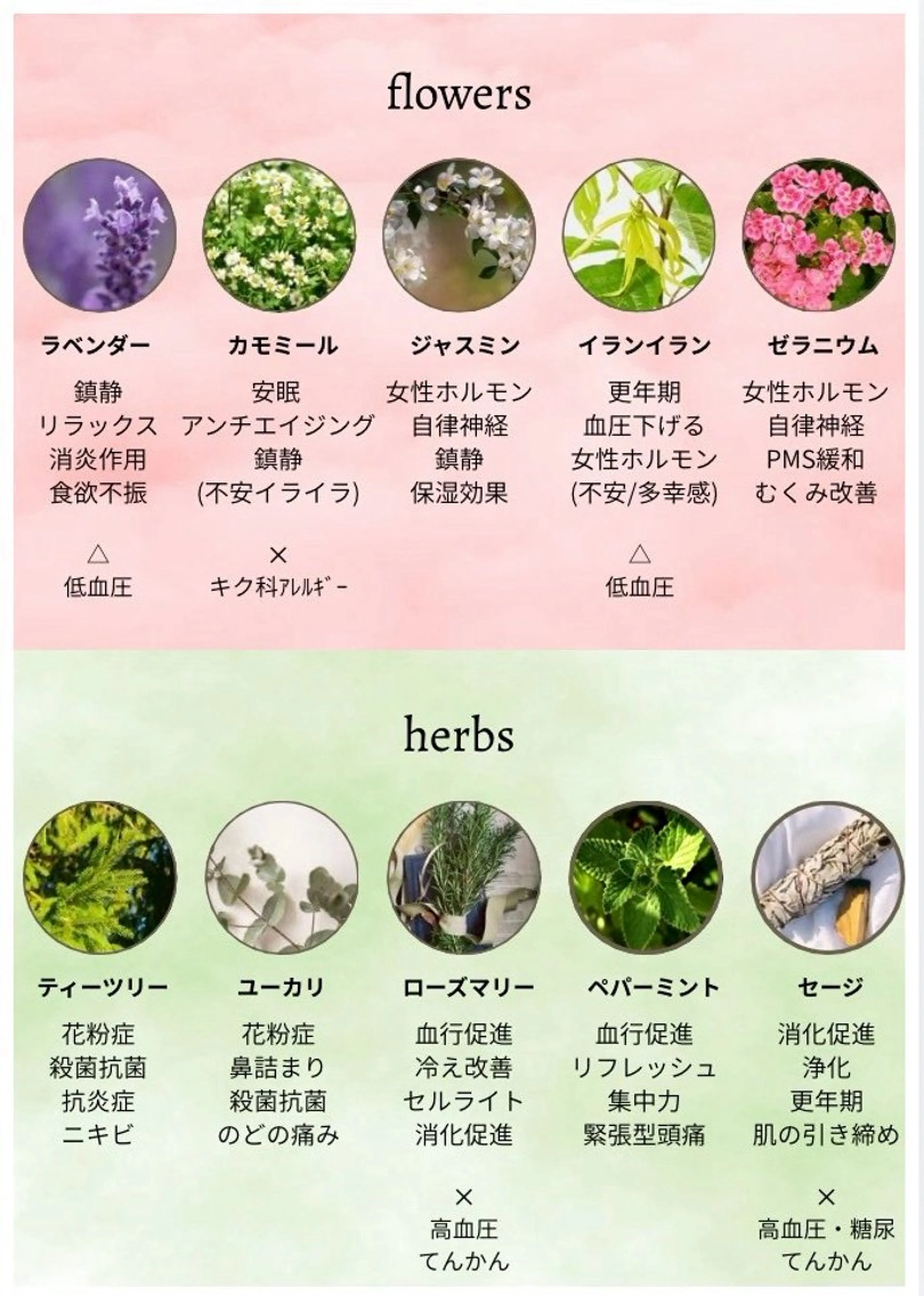 伊藤 きららのエステ・リラクイメージ