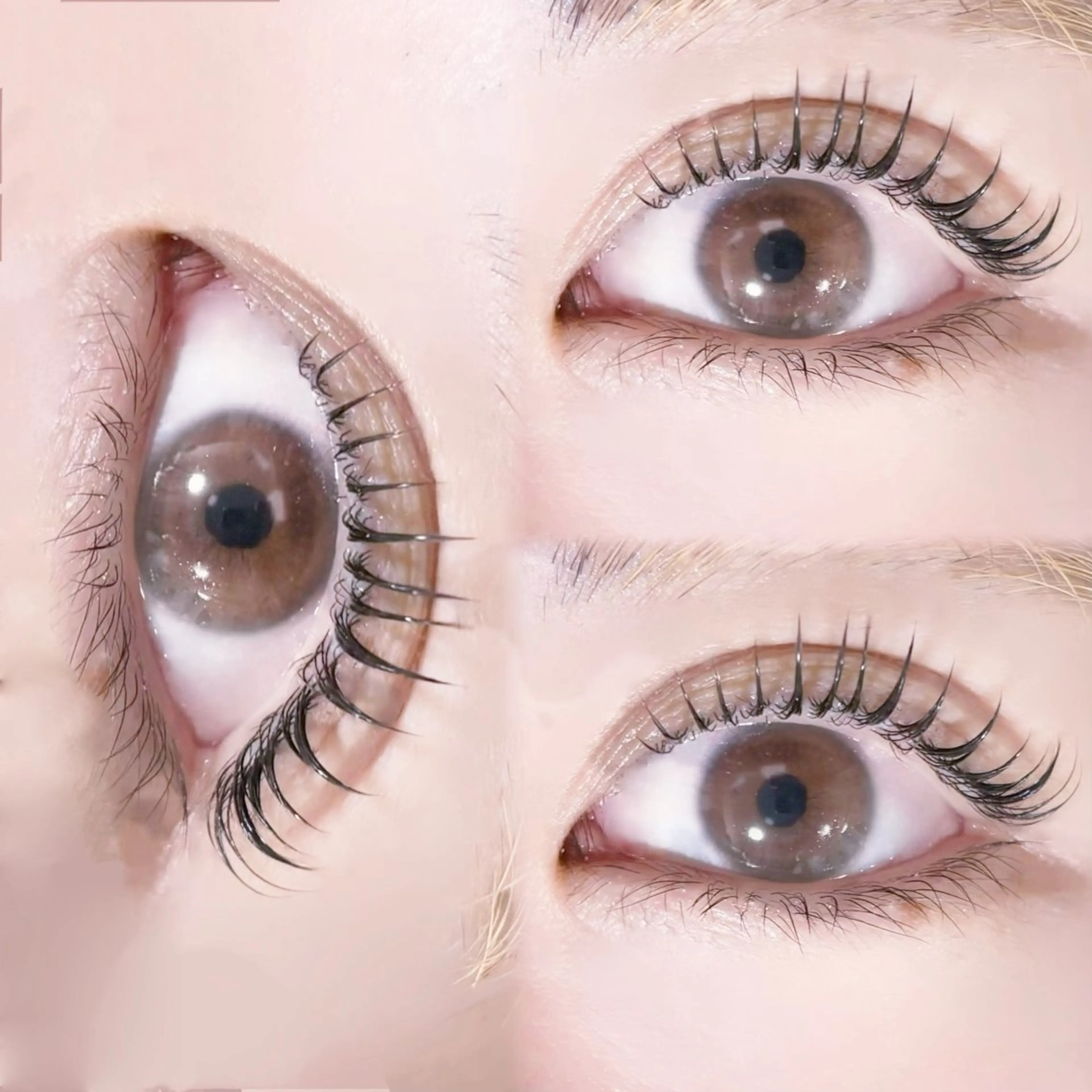 【まつげパーマ★ラウンド】スウィート・モブの写真