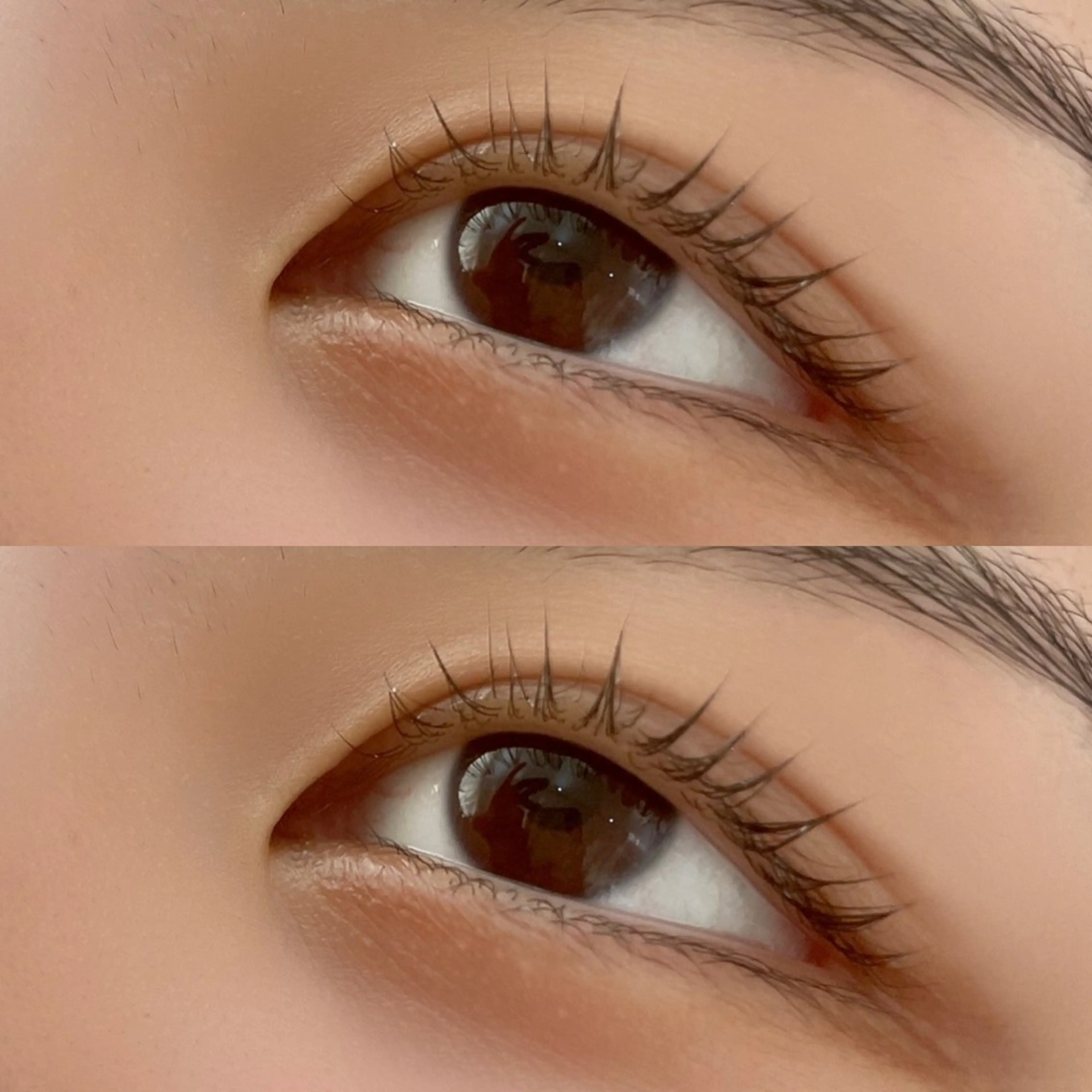 ラッシュリフト　トリートメント3回付き✨　持ち◎の写真