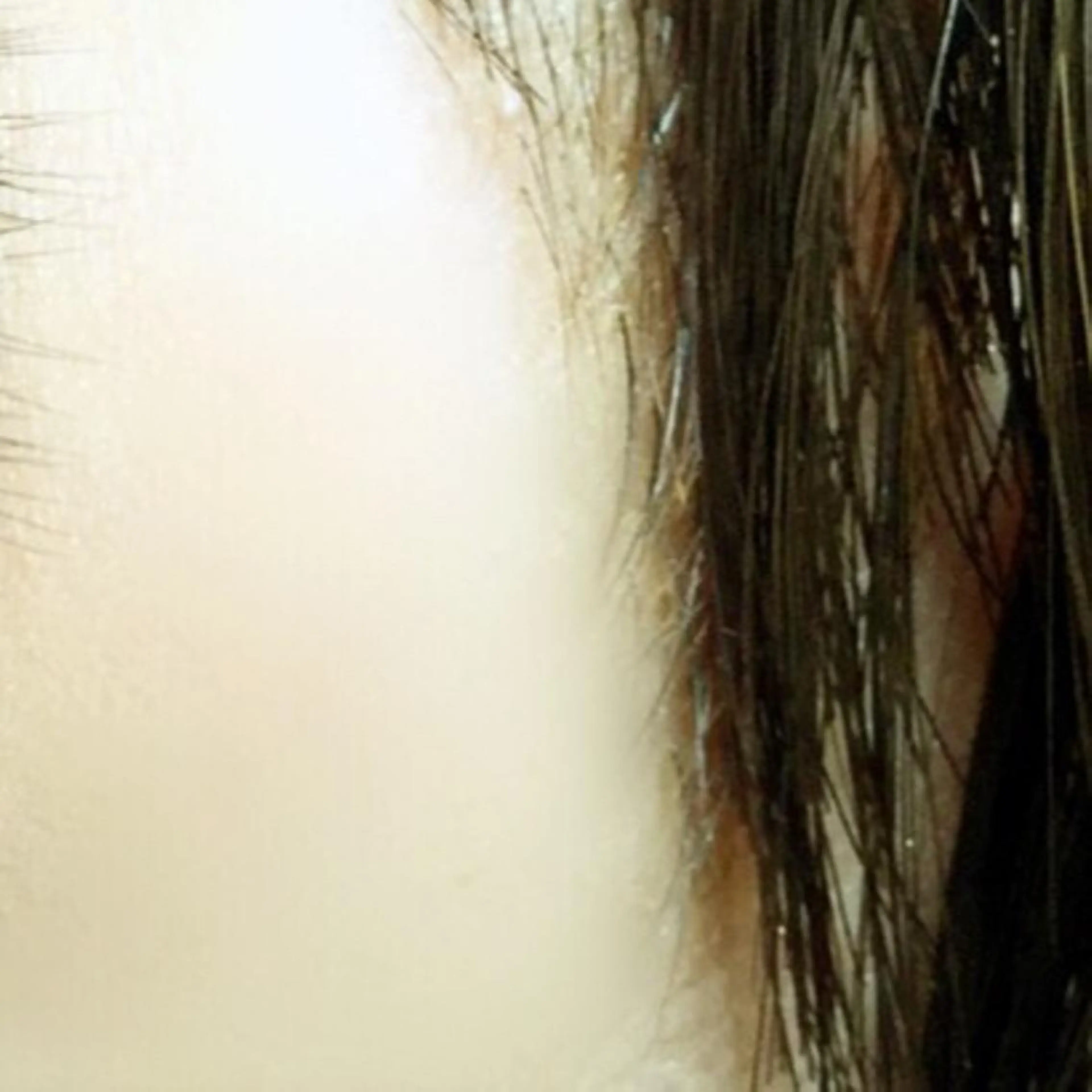 マツエク・マツパ eyelash- r🌹の眉毛・アイブロウイメージ