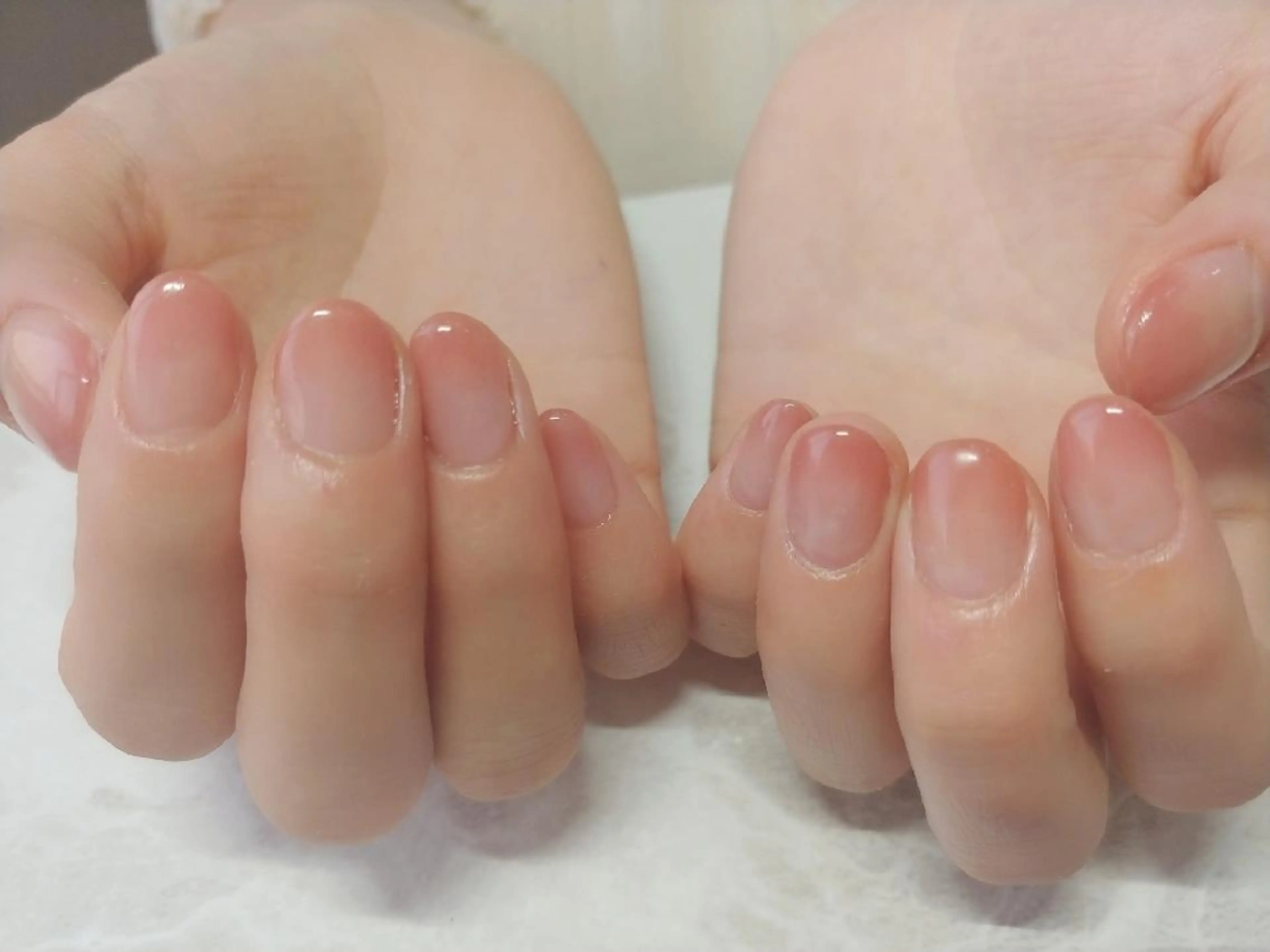 カラーグラデーション（オフ込）の写真