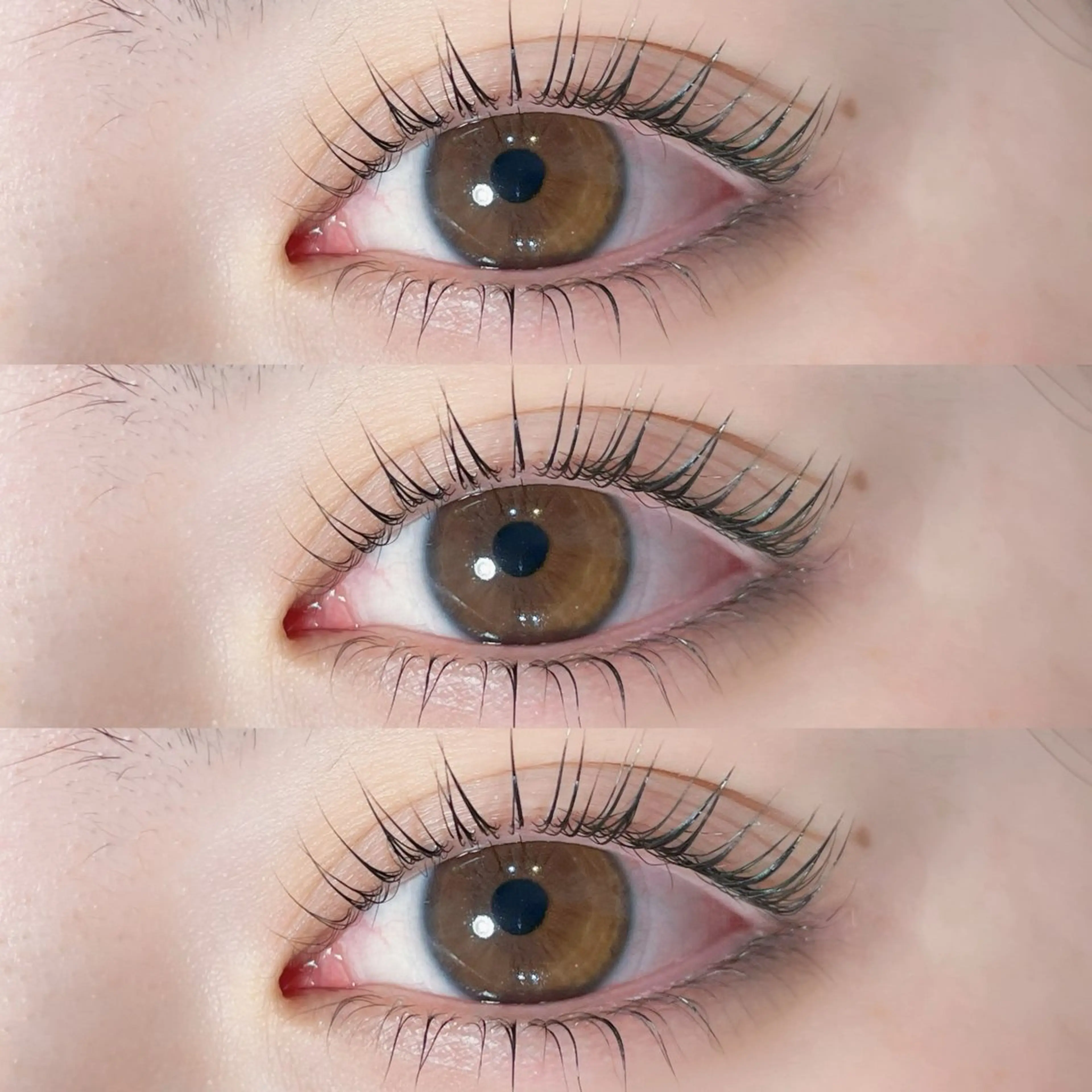 🕊下まつ毛のみパーマ🕊の写真