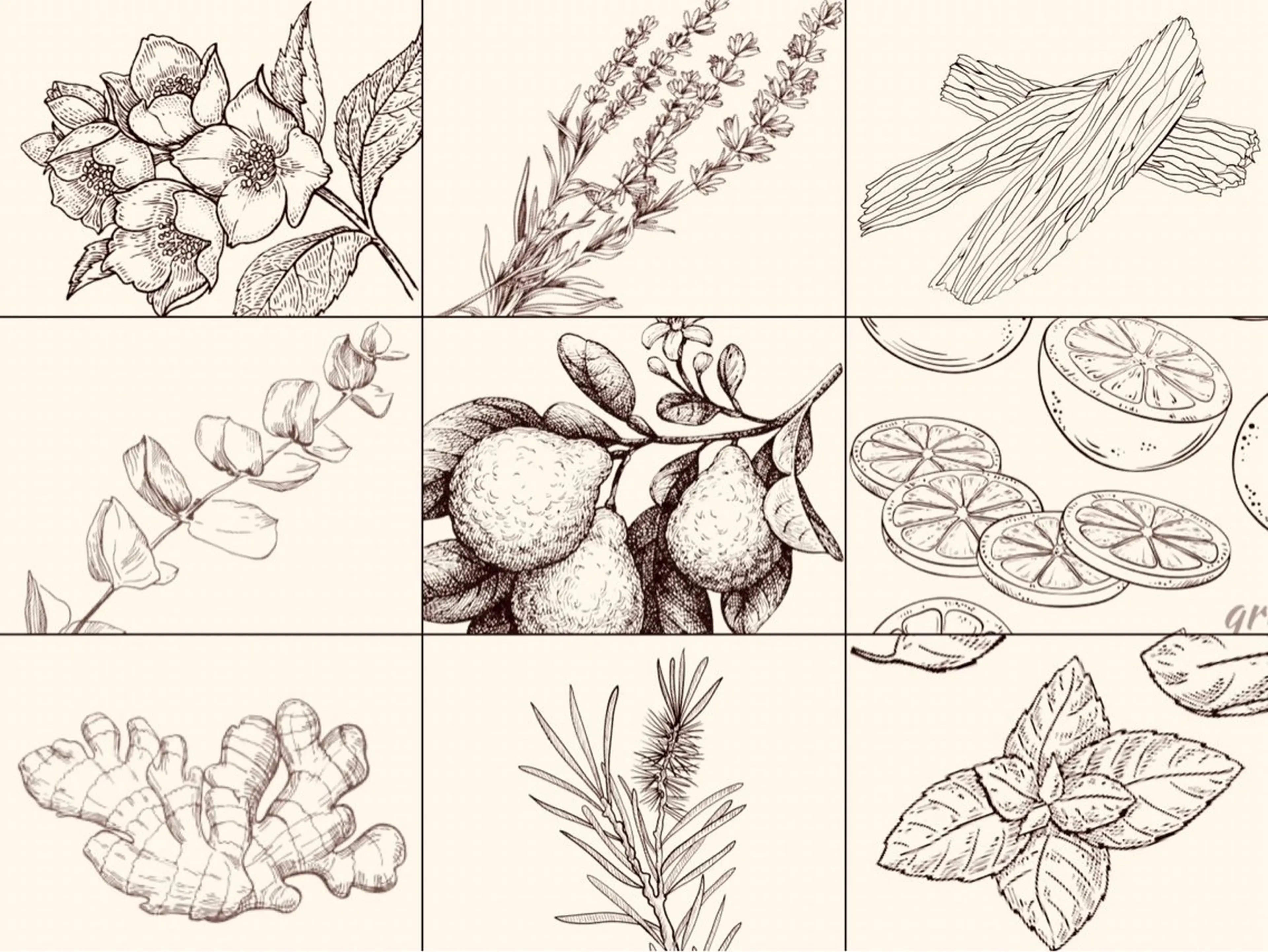 近藤 由美のエステ・リラクイメージ