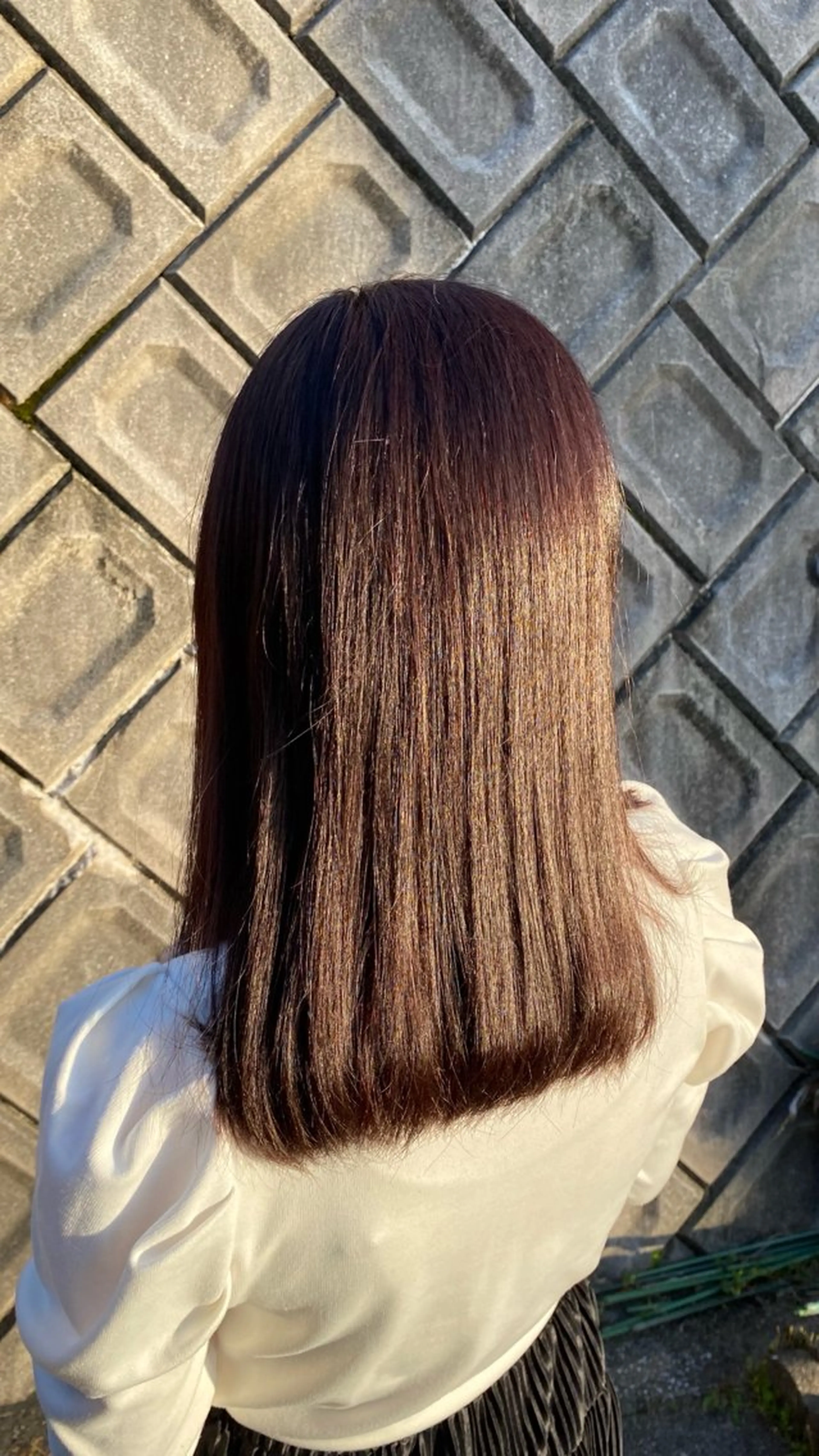 セミロング カラー ヘアカラー 手嶋 理仁のヘアスタイル