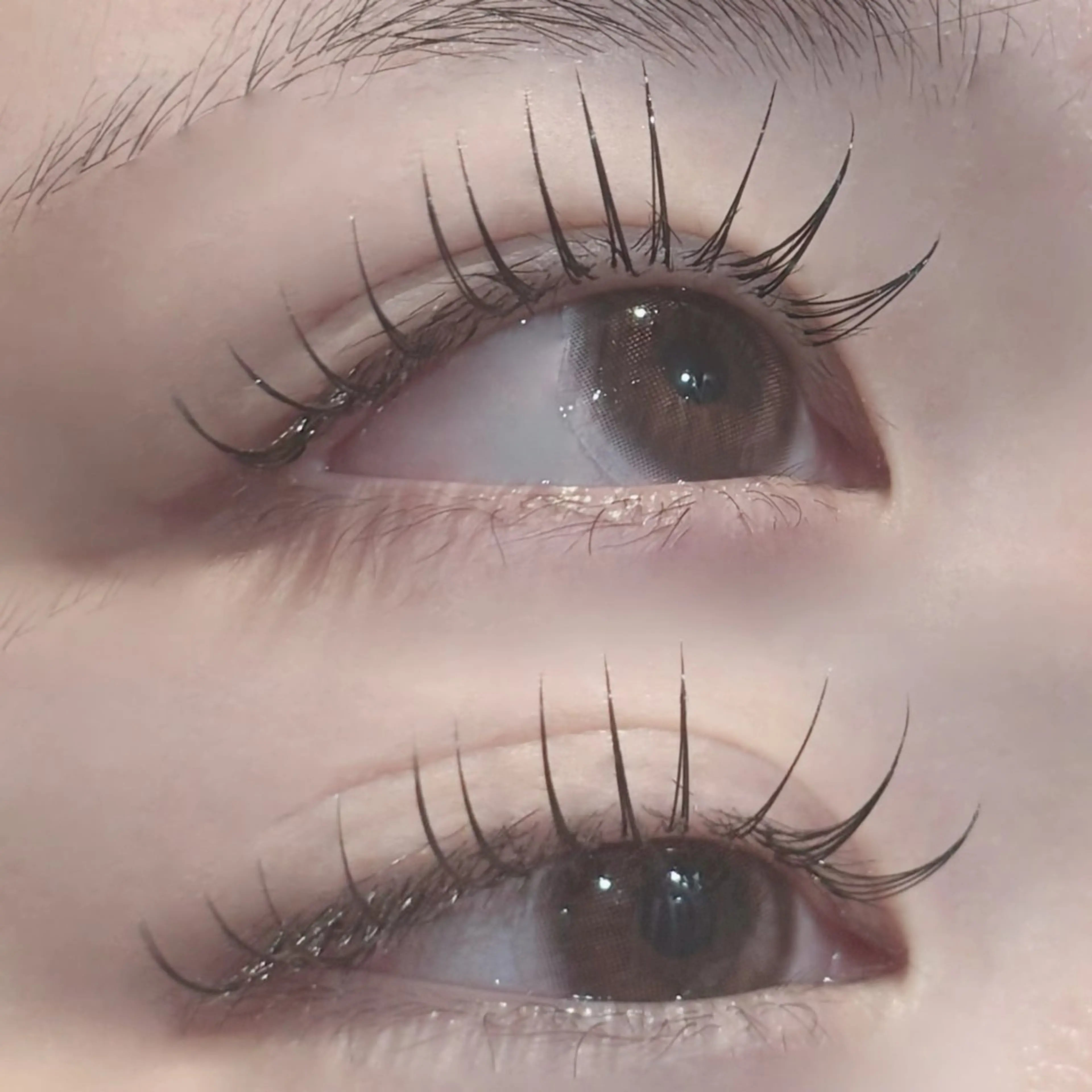 マツエク・マツパ Dカール Brandnew 大和西大寺elliのマツエク・マツパデザイン