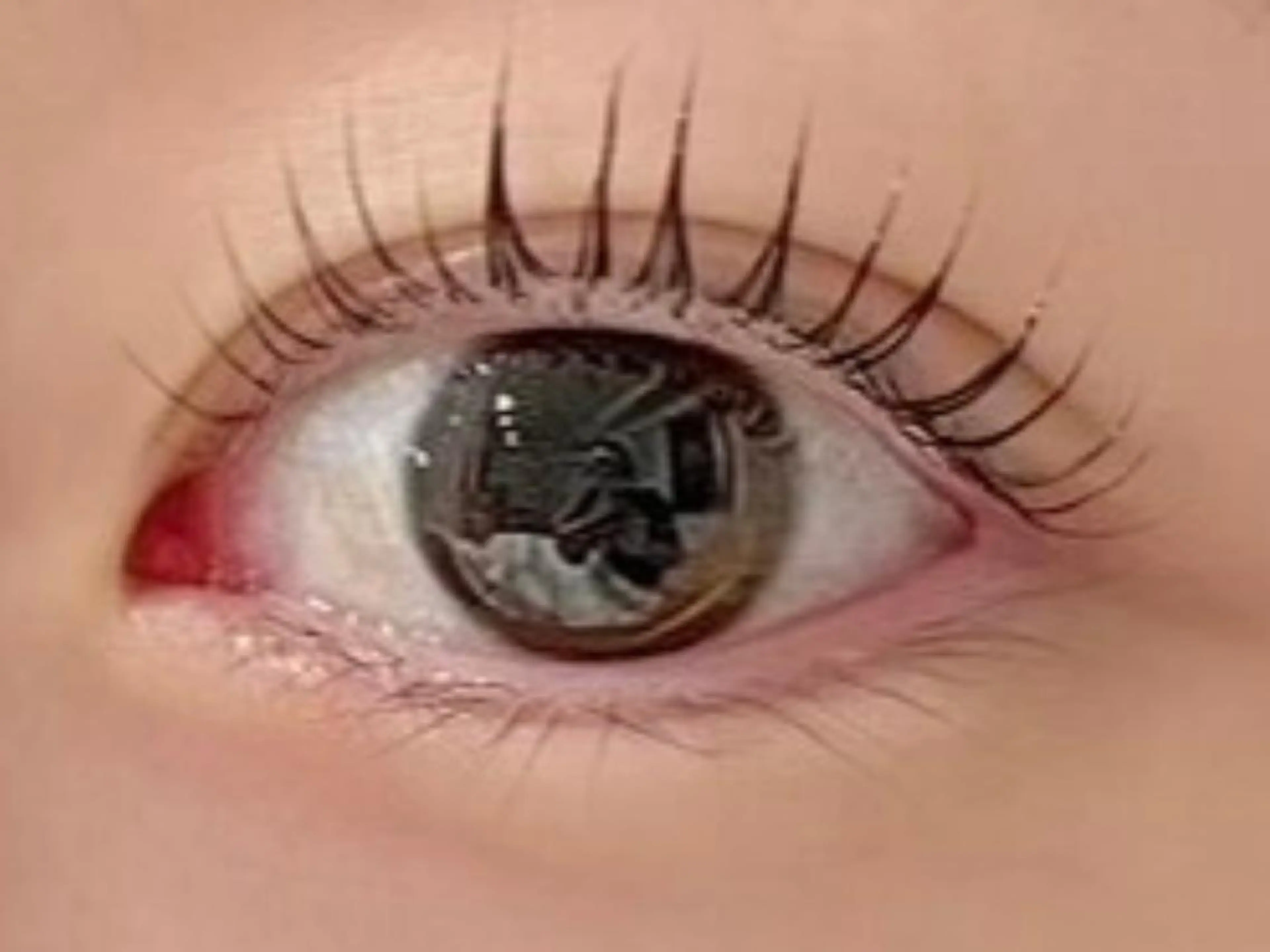 マツエク・マツパ Mian 津田沼のマツエク・マツパデザイン