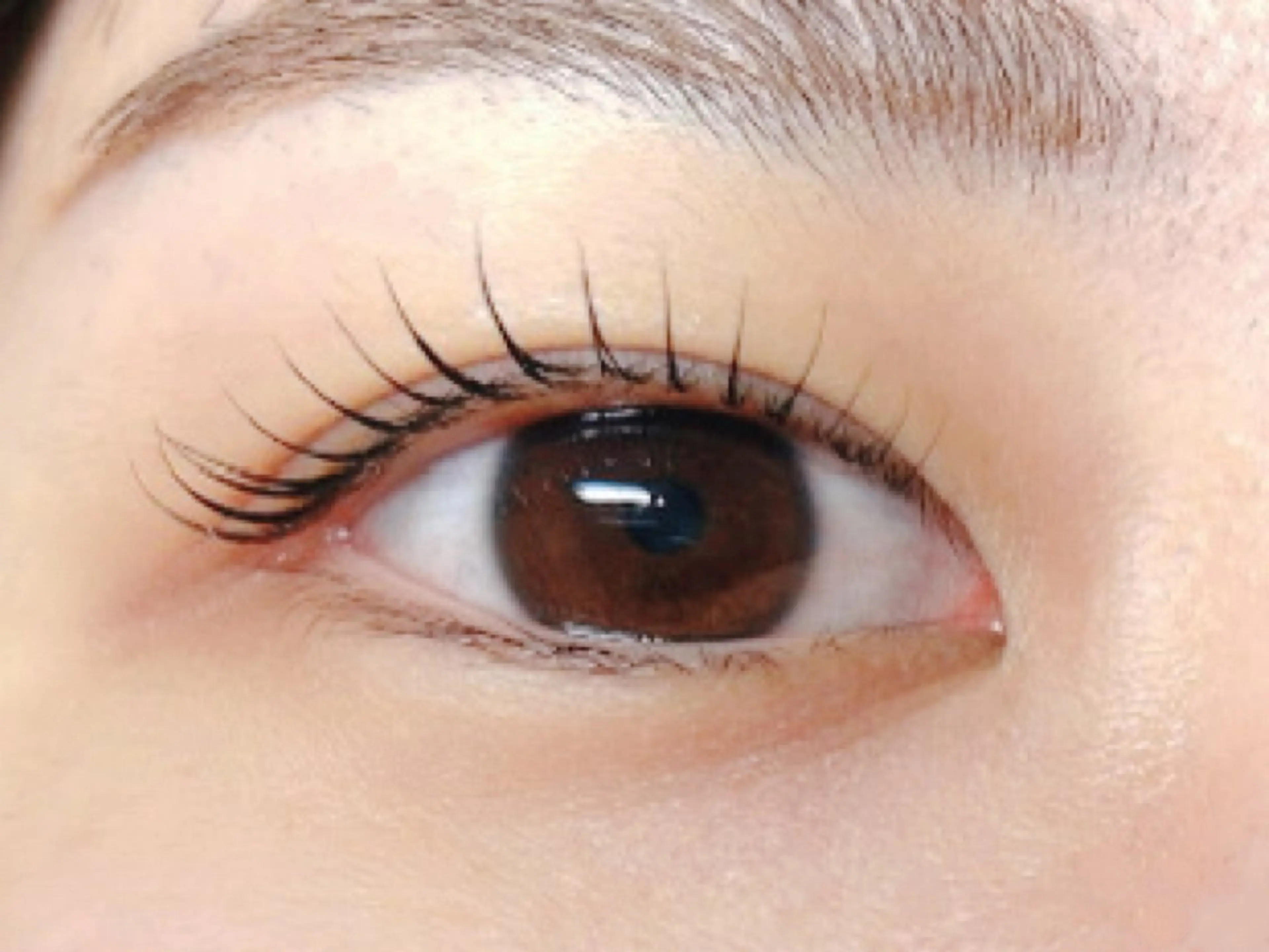 マツエク・マツパ Melia Chieのマツエク・マツパデザイン