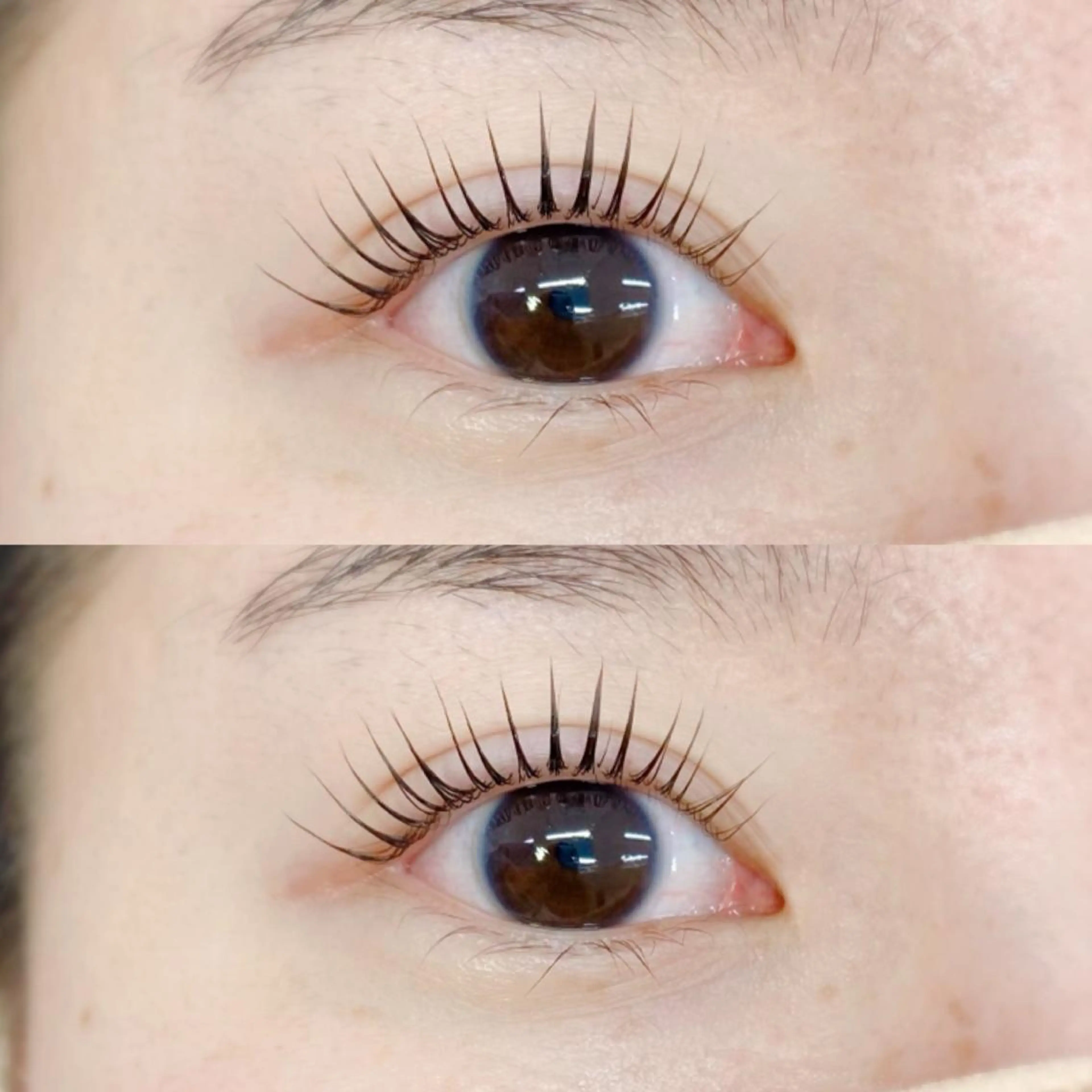 マツエク・マツパ マツエク oma 🕊MISAKIのマツエク・マツパデザイン