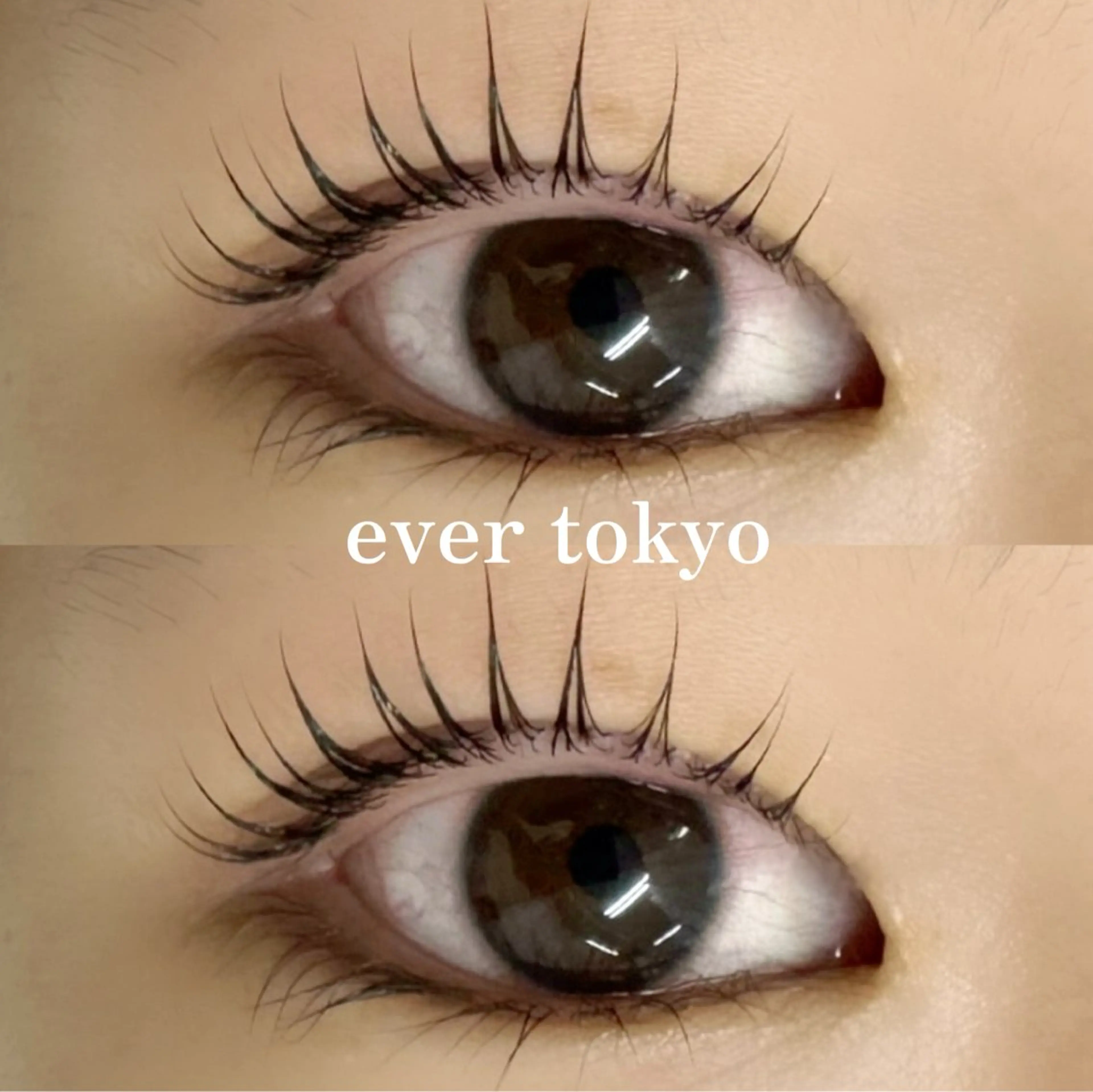 マツエク・マツパ Dカール alicetokyo 天神店のマツエク・マツパデザイン