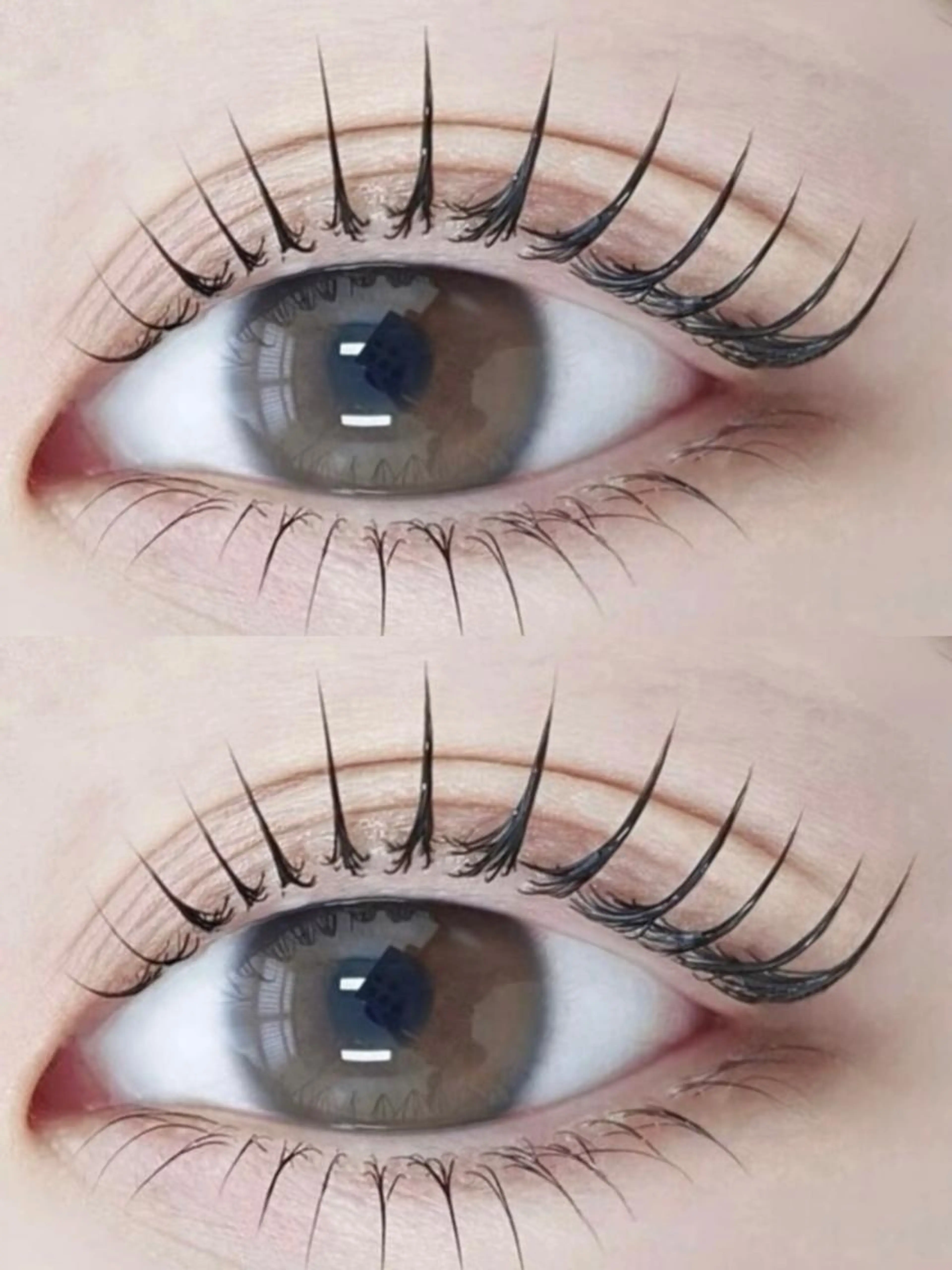 「＆Healthyヘルシー」(フラトラッシュ120本×マッパ) 「LED無料」の写真