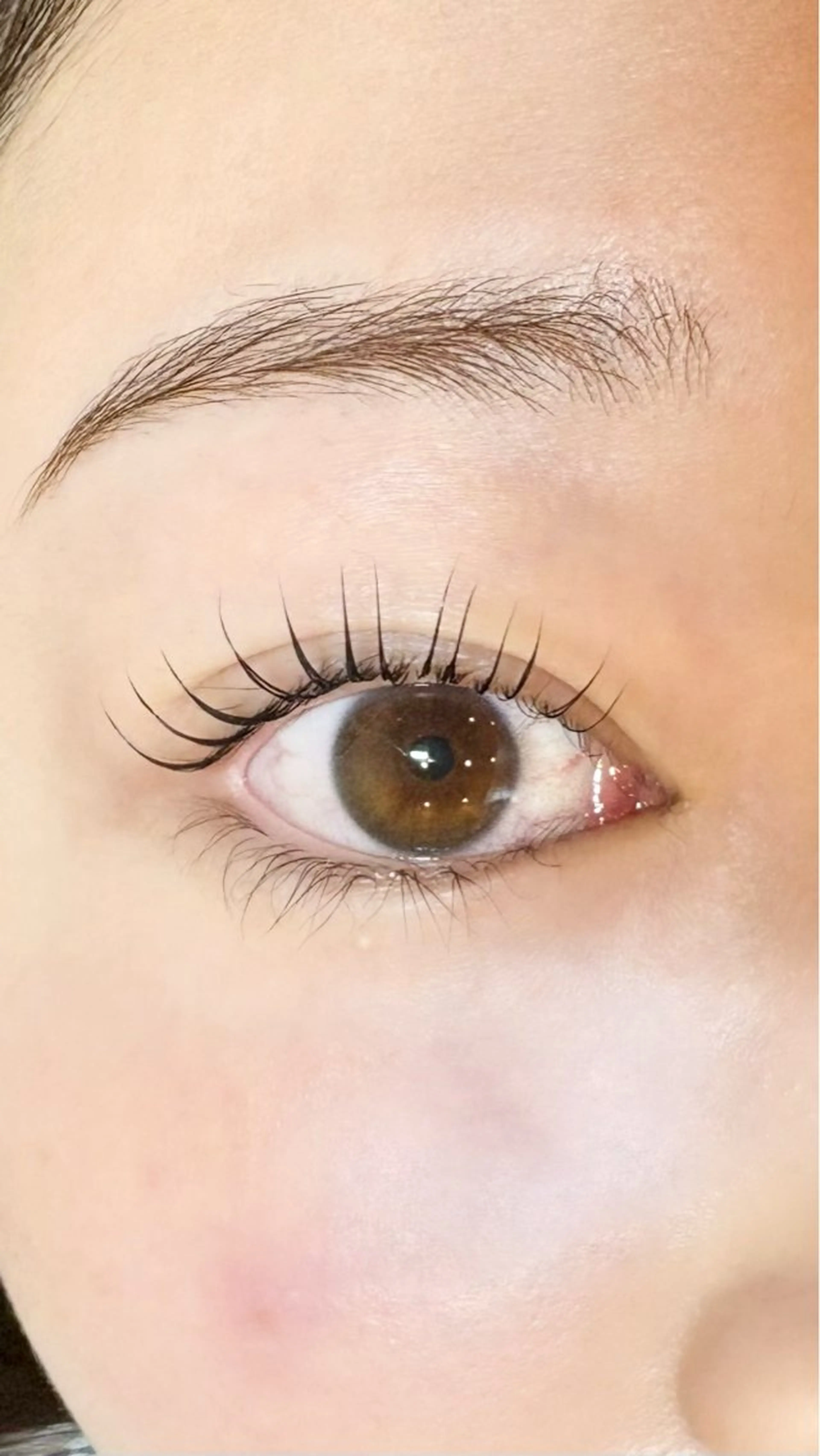 【韓国束感】ヌヌラッシュリフト🩷ケア＋コーティング付きの写真